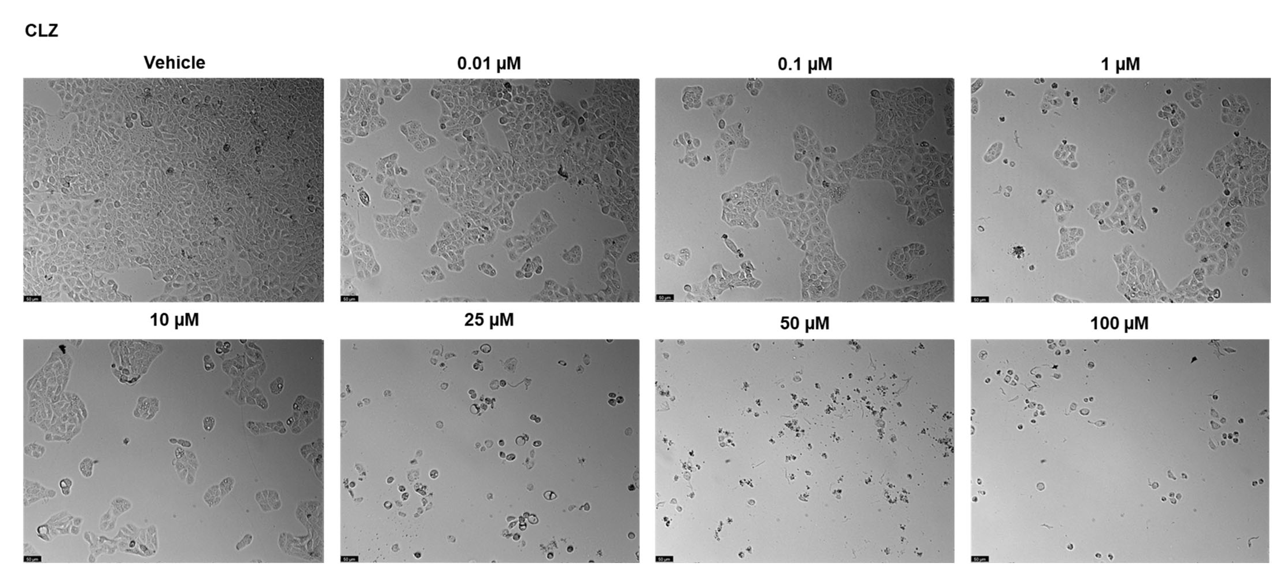 Ddc 03 00027 g008 Ddc 03 00027 g008