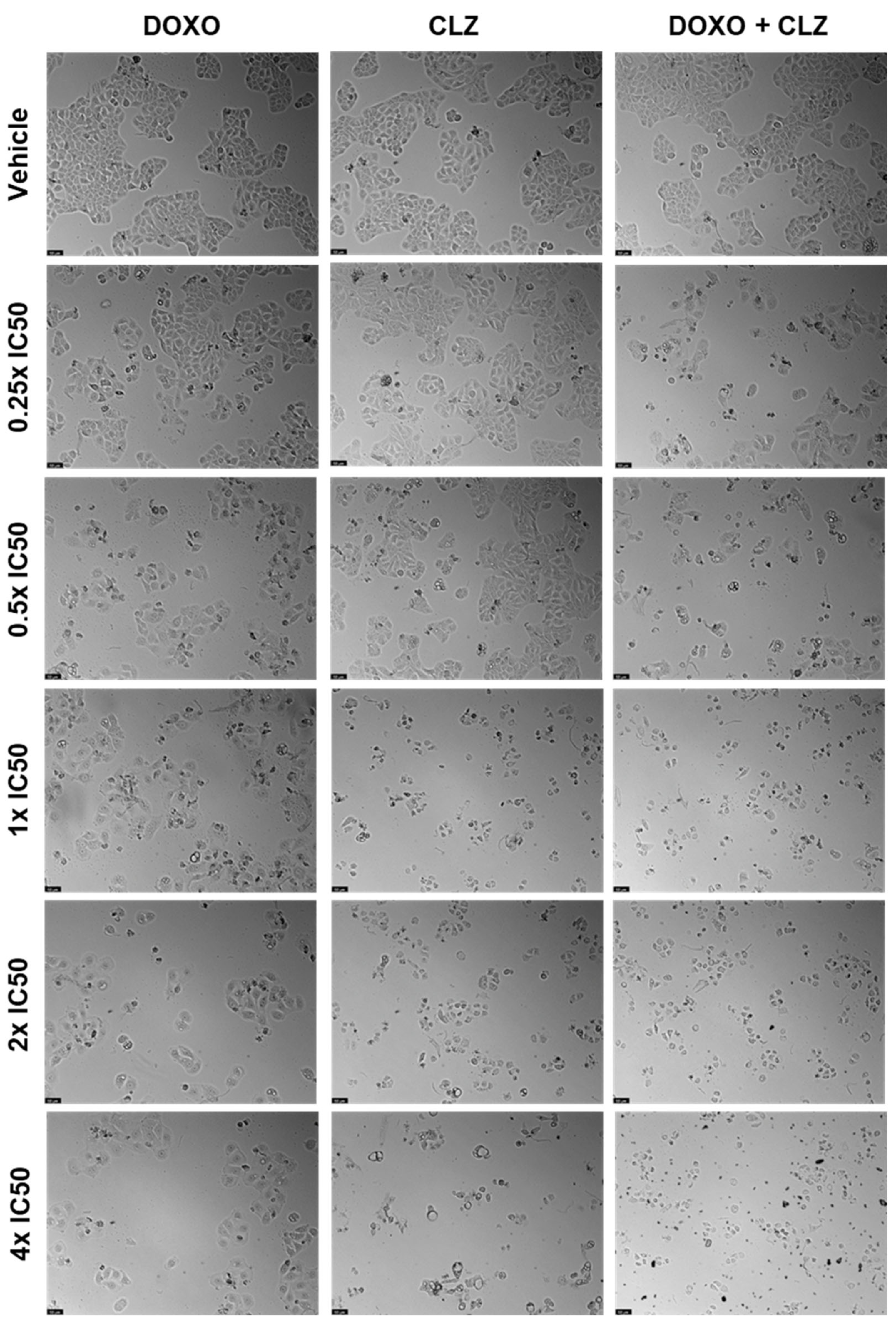 Ddc 03 00027 g010 Ddc 03 00027 g010