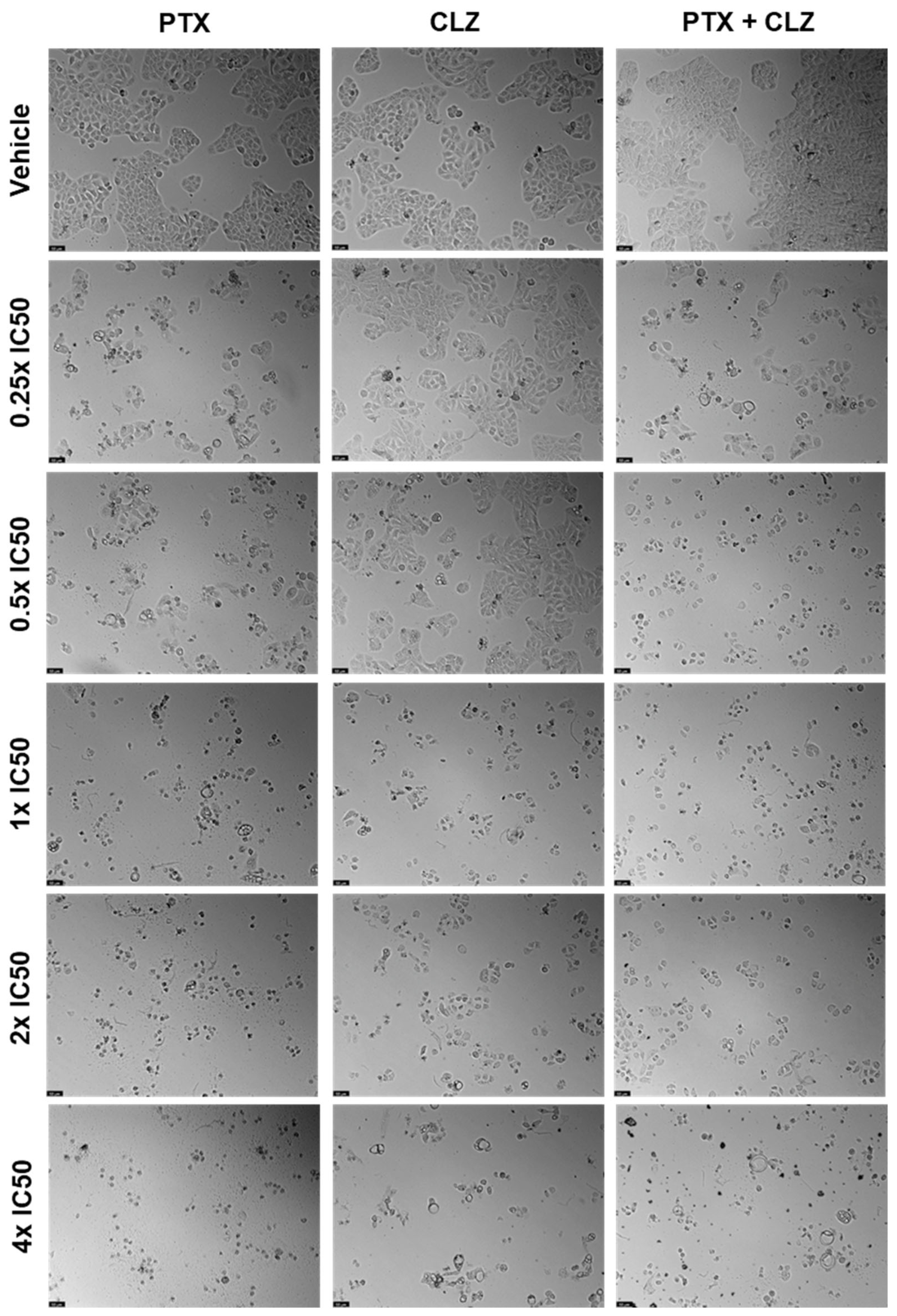 Ddc 03 00027 g011 Ddc 03 00027 g011