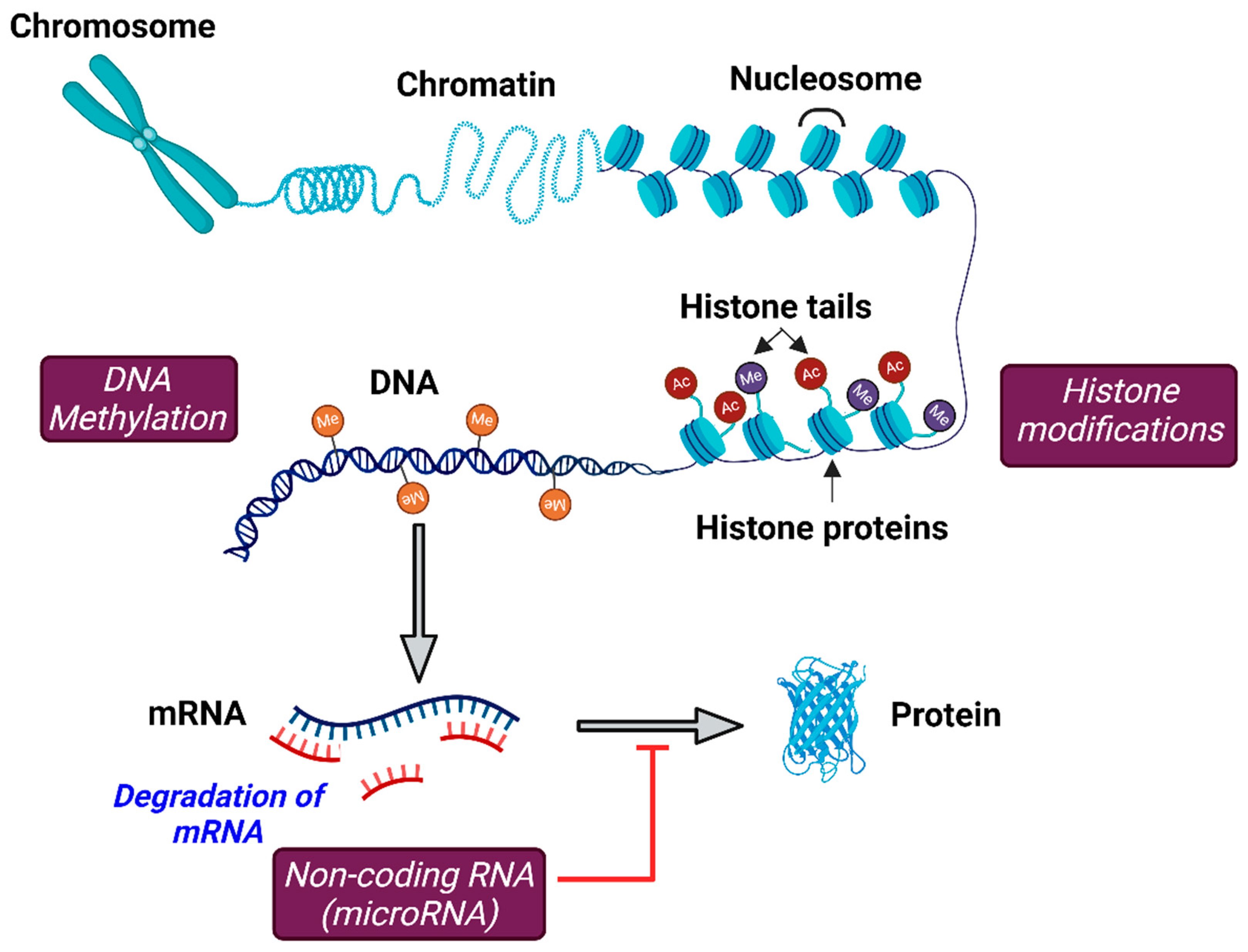 Ddc 04 00015 g001 Ddc 04 00015 g001