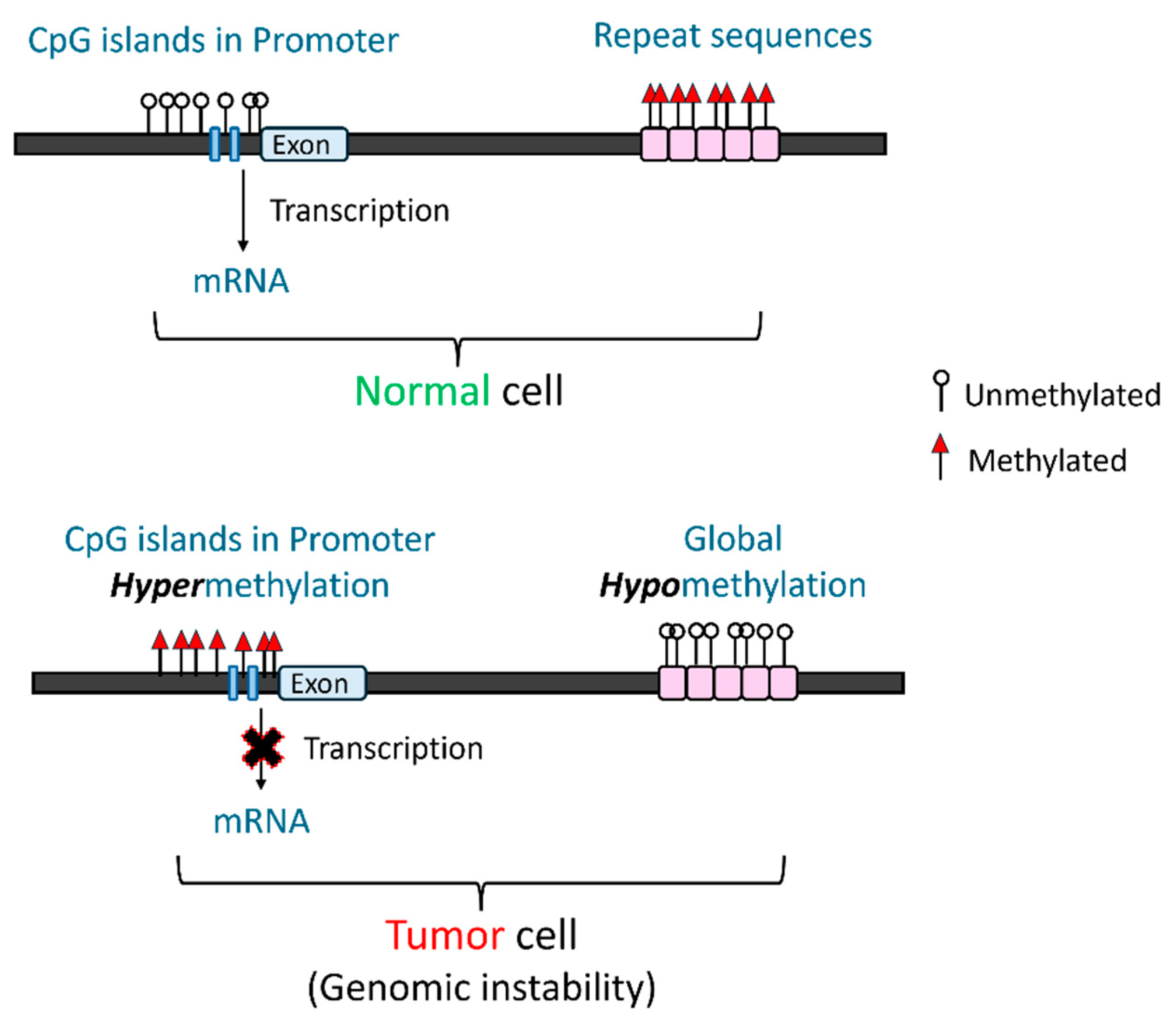 Ddc 04 00015 g002 Ddc 04 00015 g002