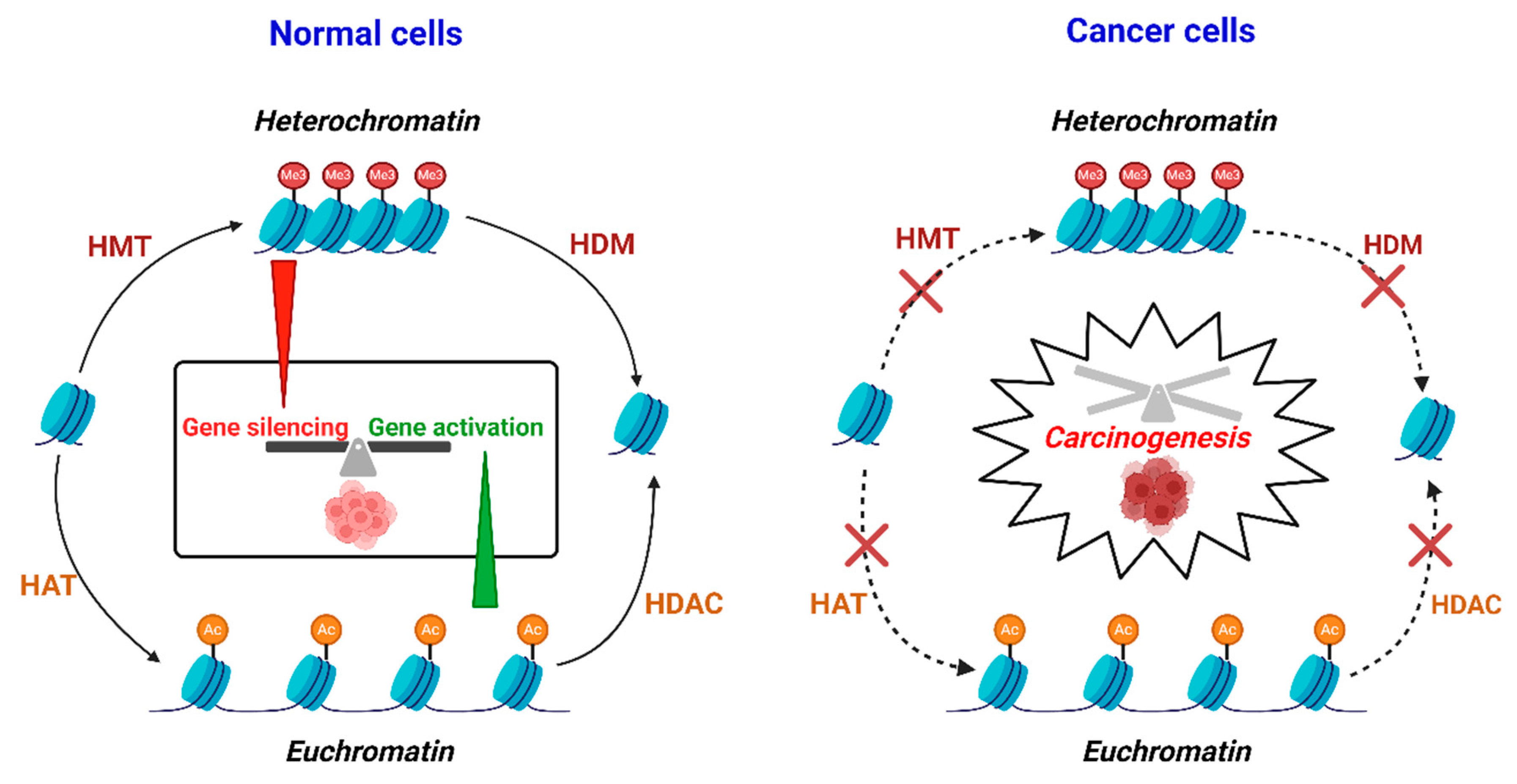 Ddc 04 00015 g003 Ddc 04 00015 g003