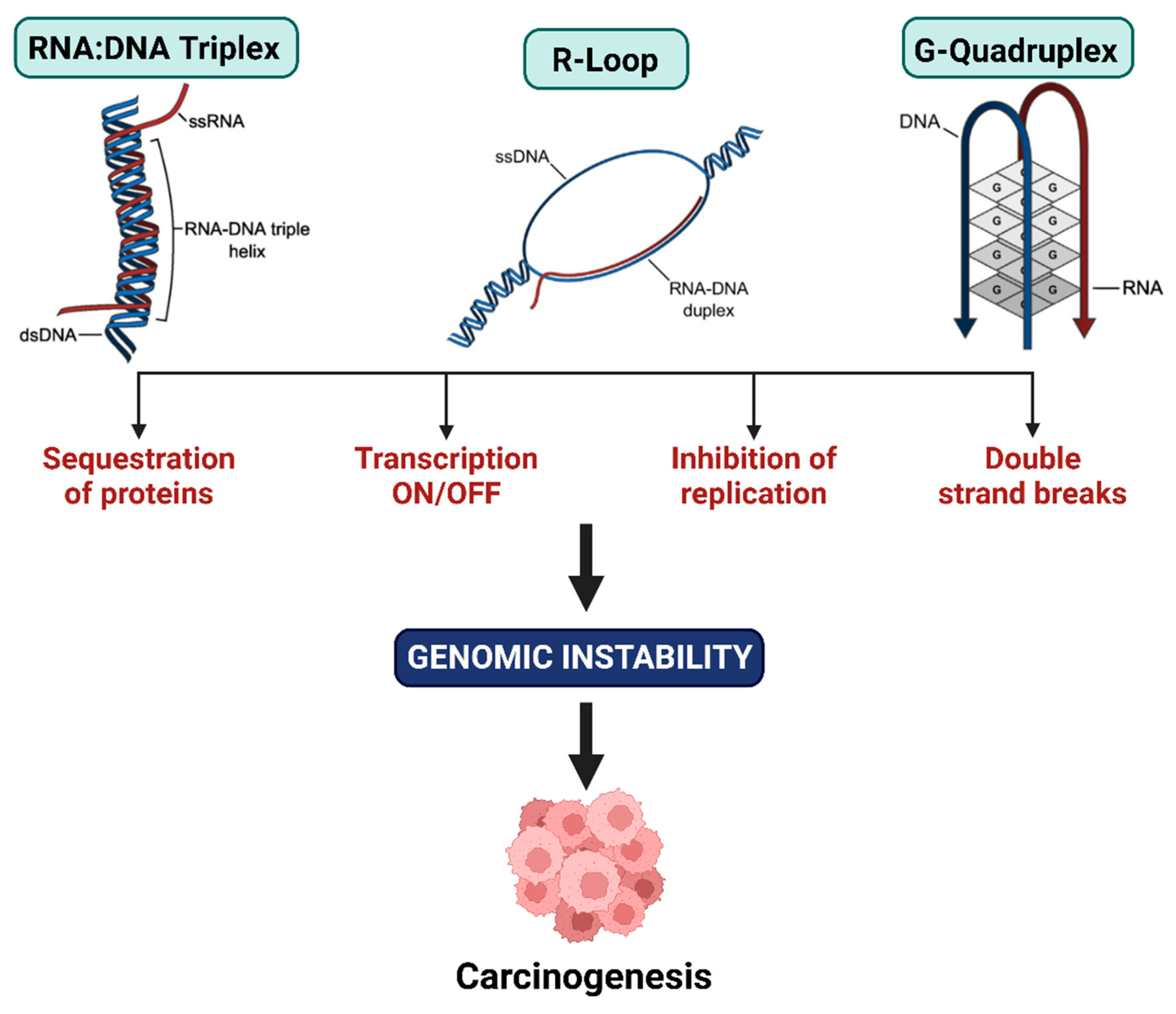 Ddc 04 00015 g005 Ddc 04 00015 g005