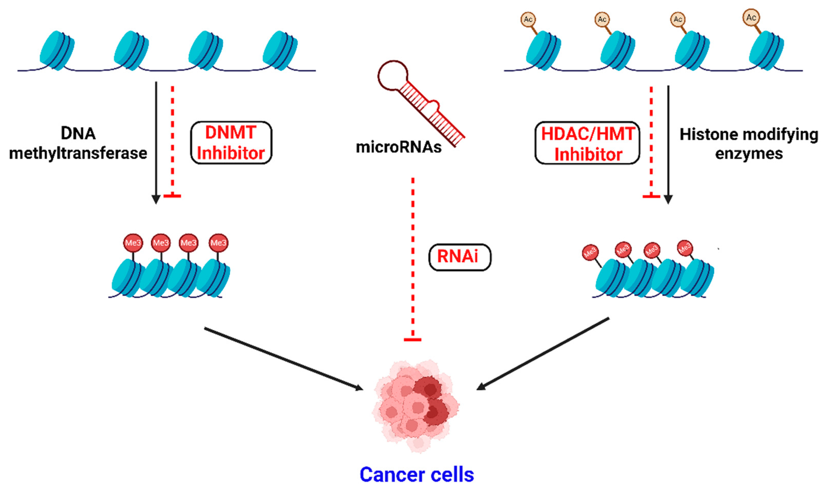 Ddc 04 00015 g006 Ddc 04 00015 g006