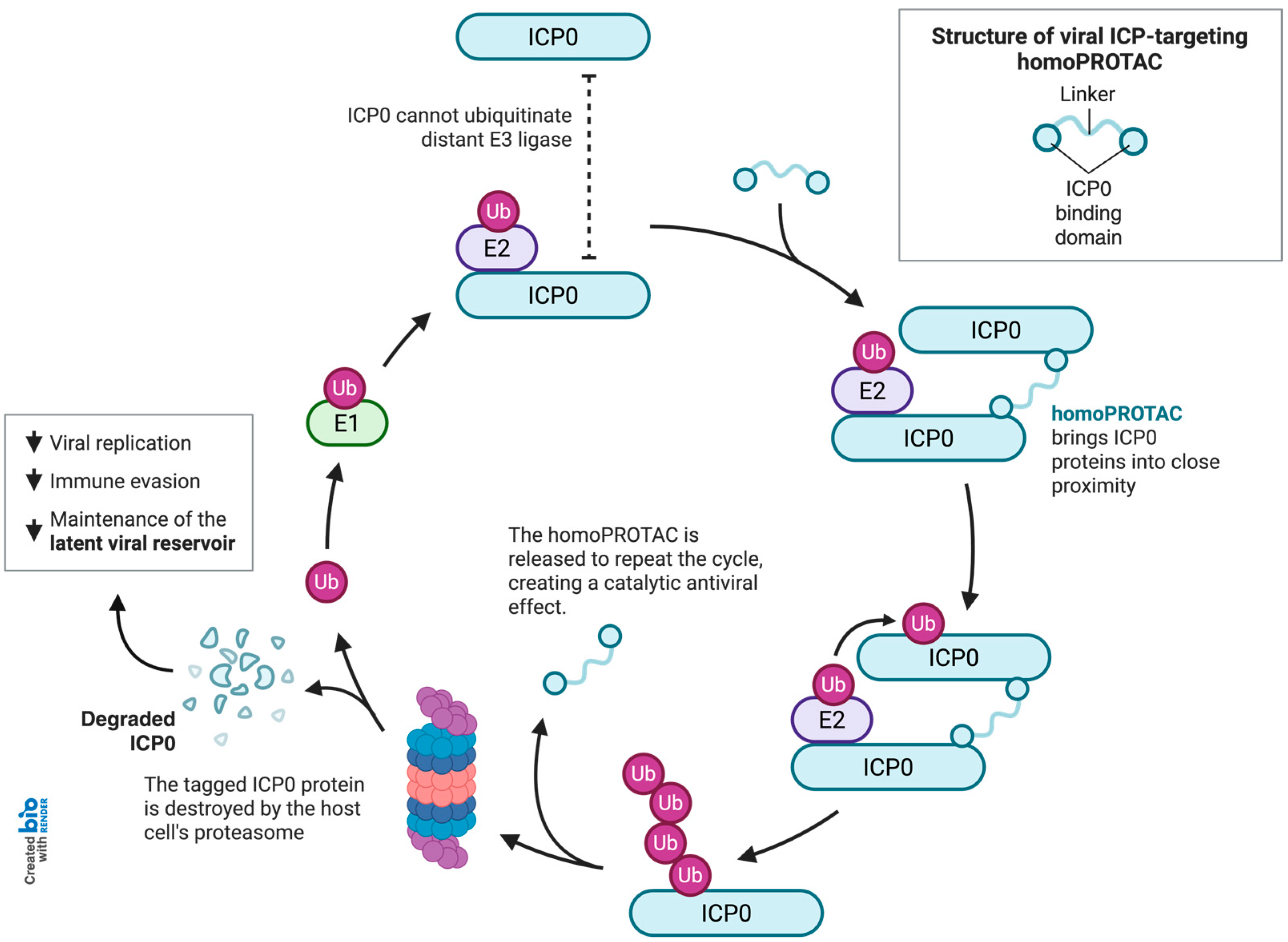 Ddc 04 00042 g001 Ddc 04 00042 g001