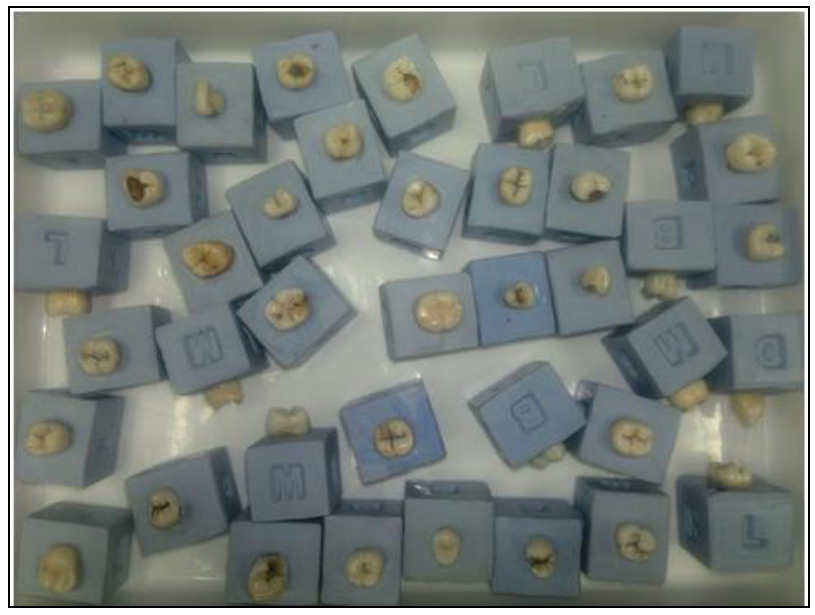 Dentistry 02 00041 g004 1024