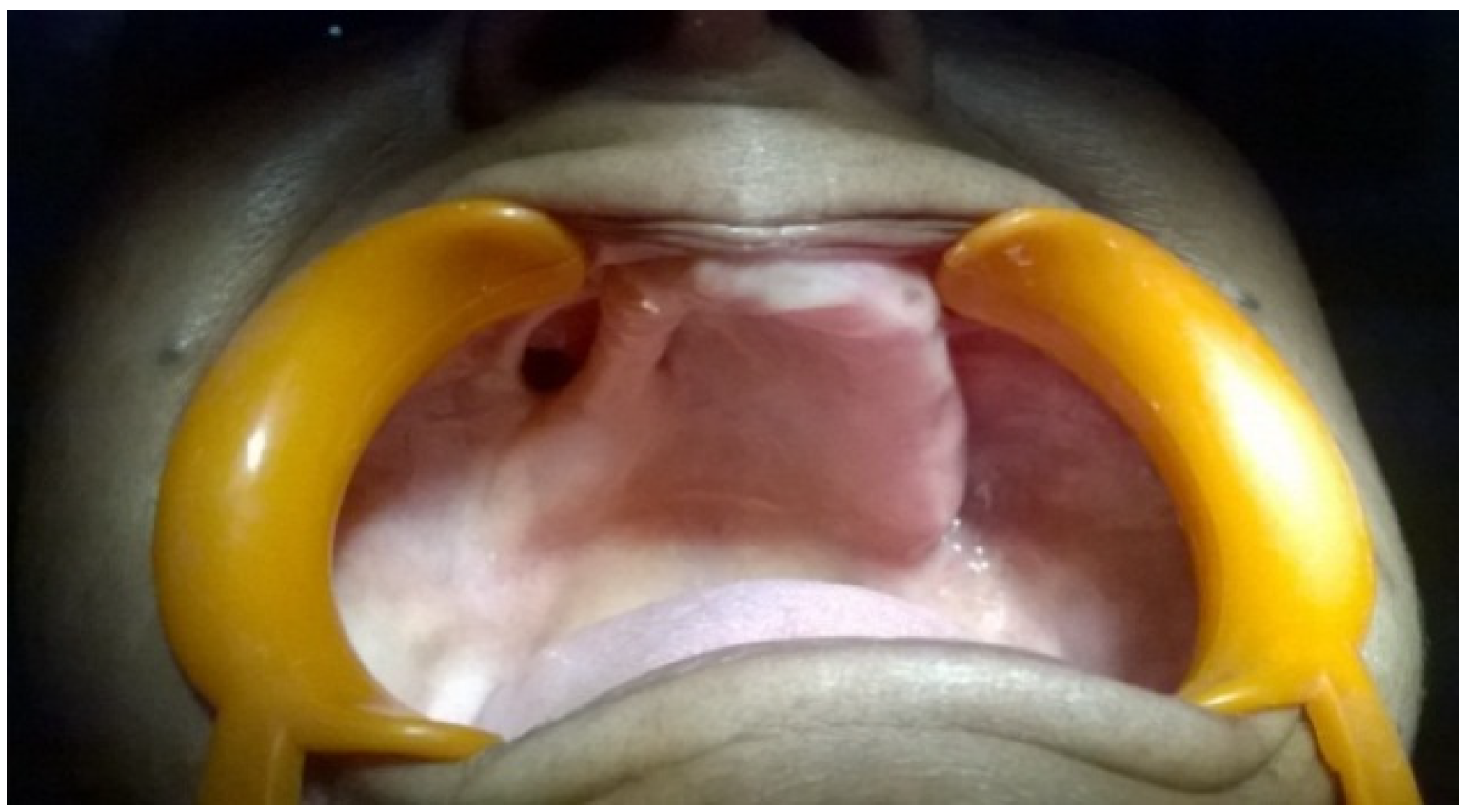 Dentistry 02 00142 g001 1024