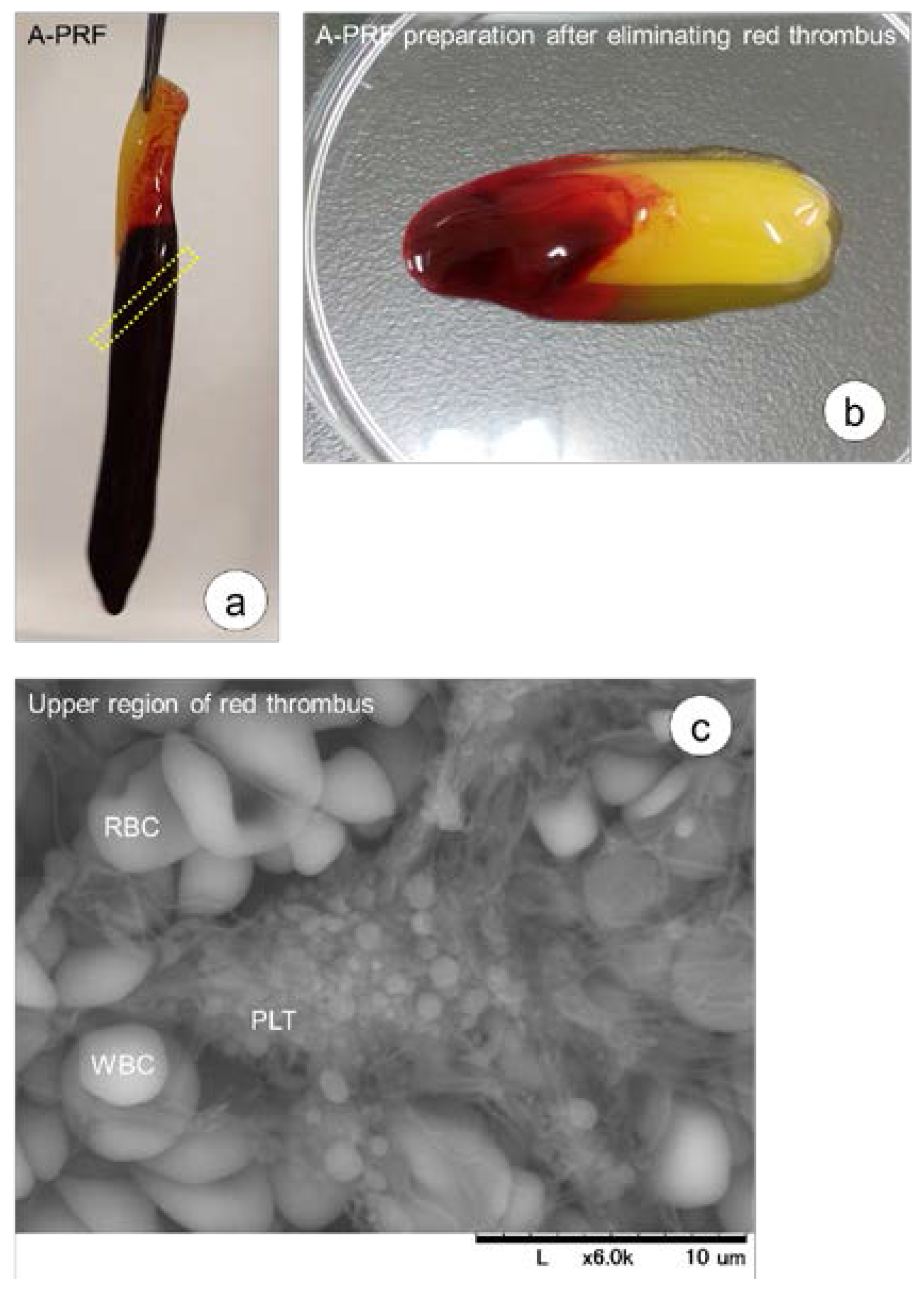 Dentistry Journal | Free Full-Text | An Evaluation of the Accuracy of