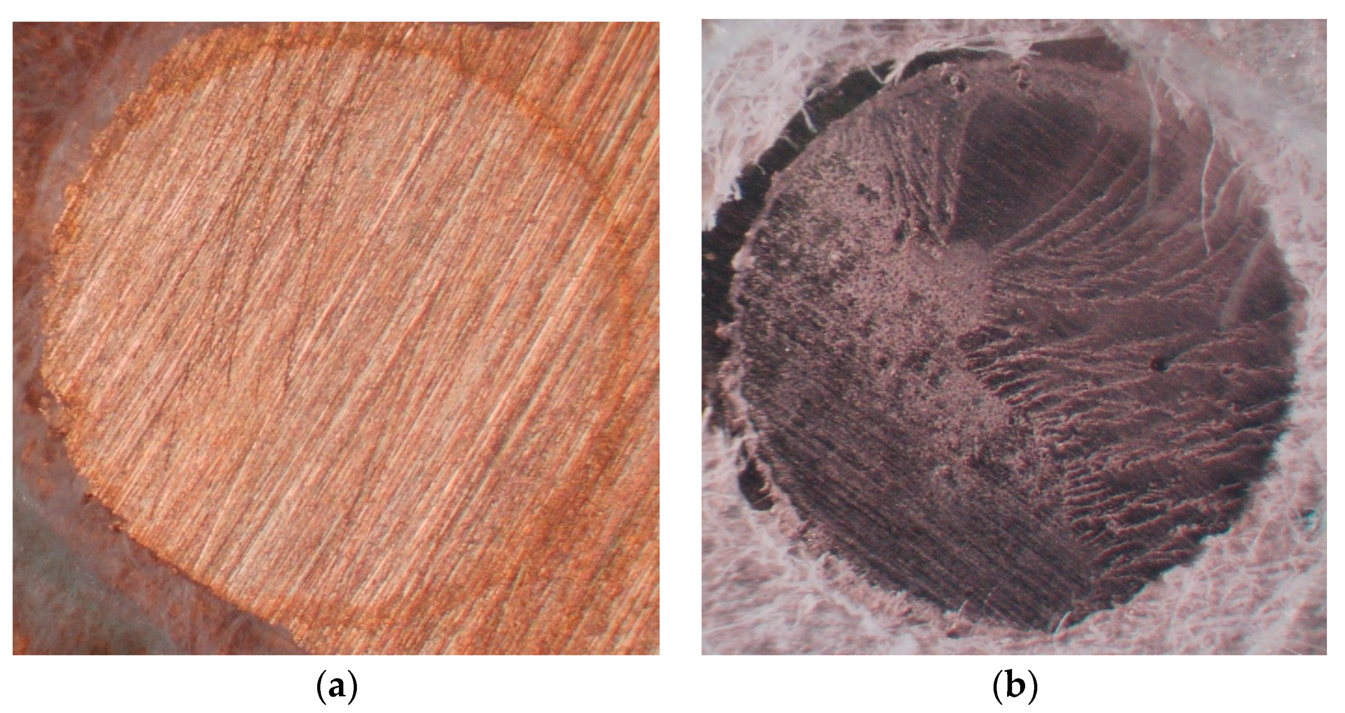Dentistry 05 00022 g004 550