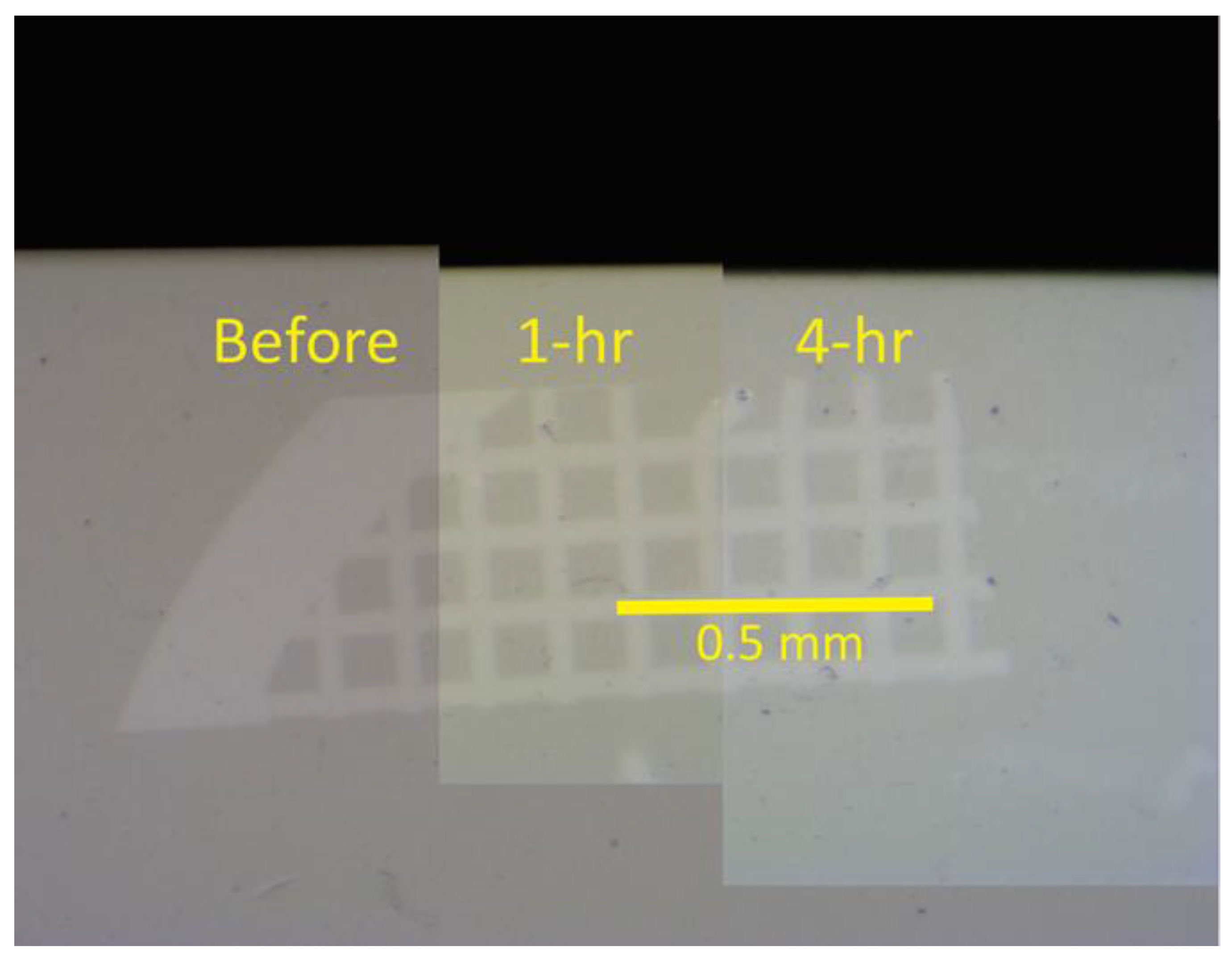 Dentistry 05 00027 g002