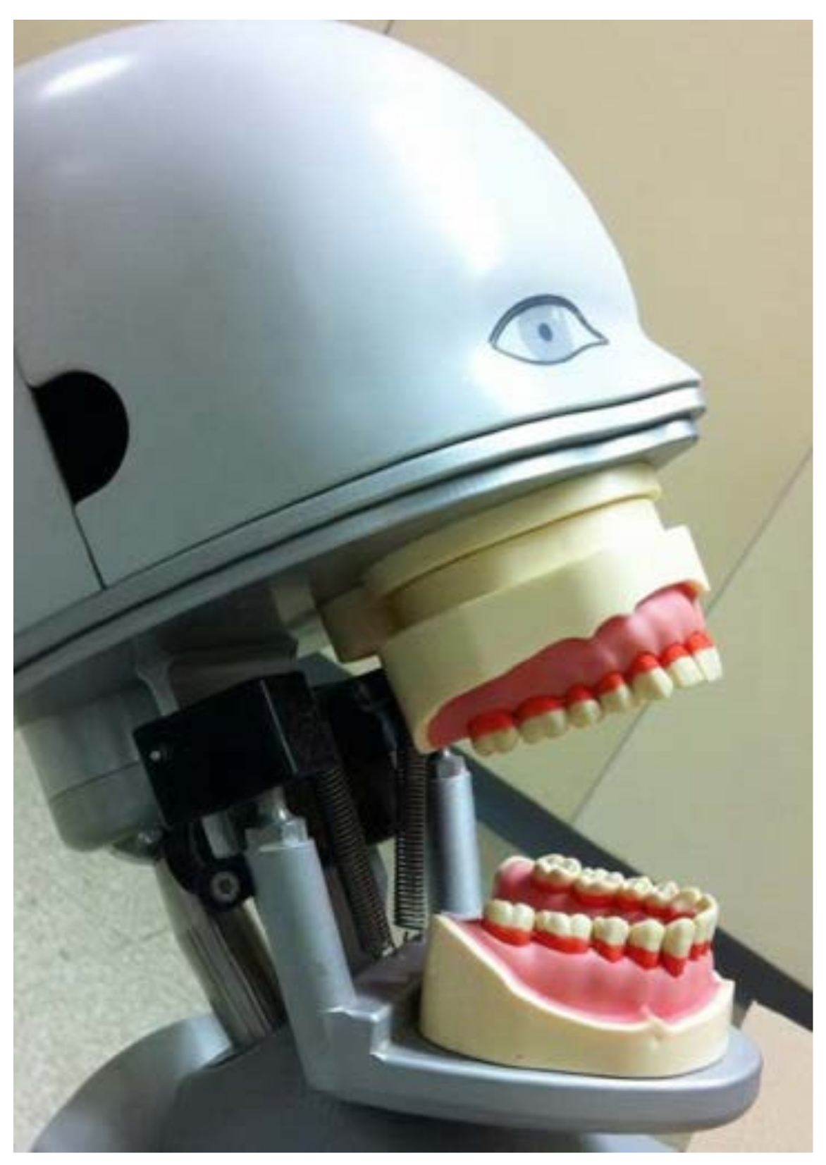 Dentistry 06 00008 g002