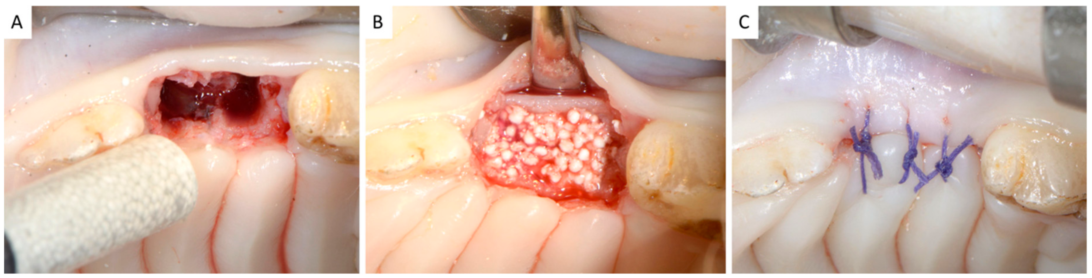 Dentistry 06 00027 g002 Dentistry 06 00027 g002