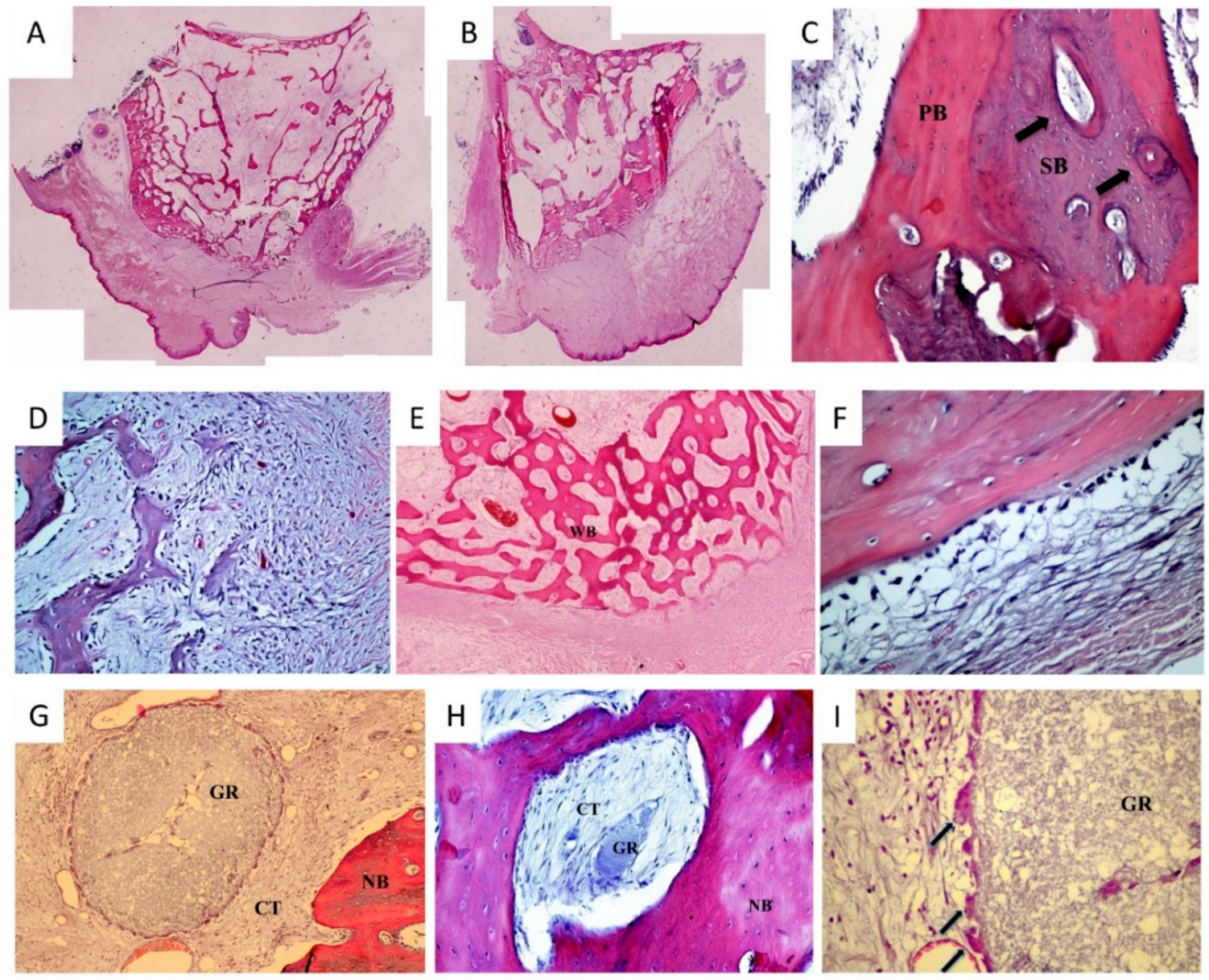 Dentistry 06 00027 g004 Dentistry 06 00027 g004
