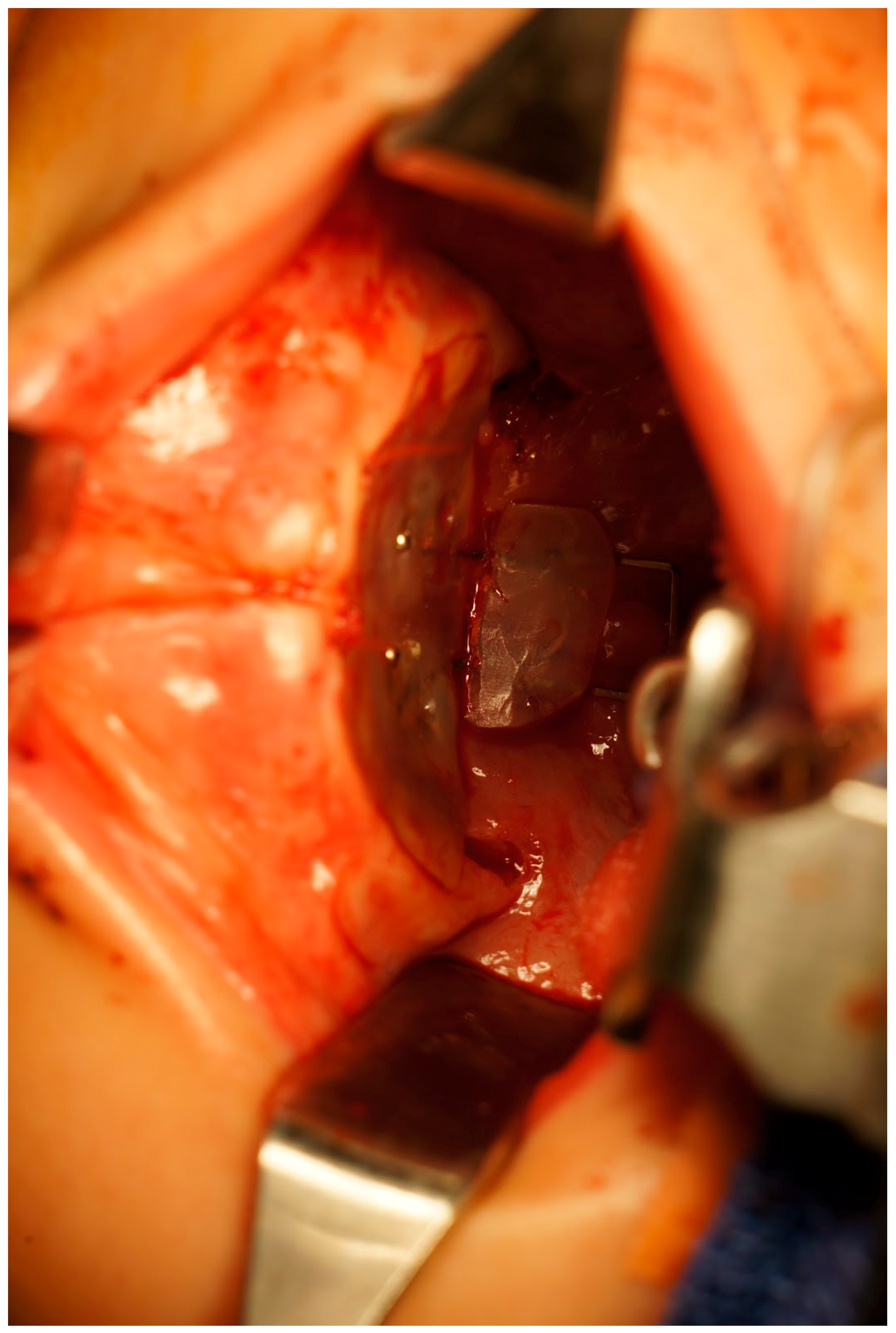 Dentistry 06 00029 g003 550