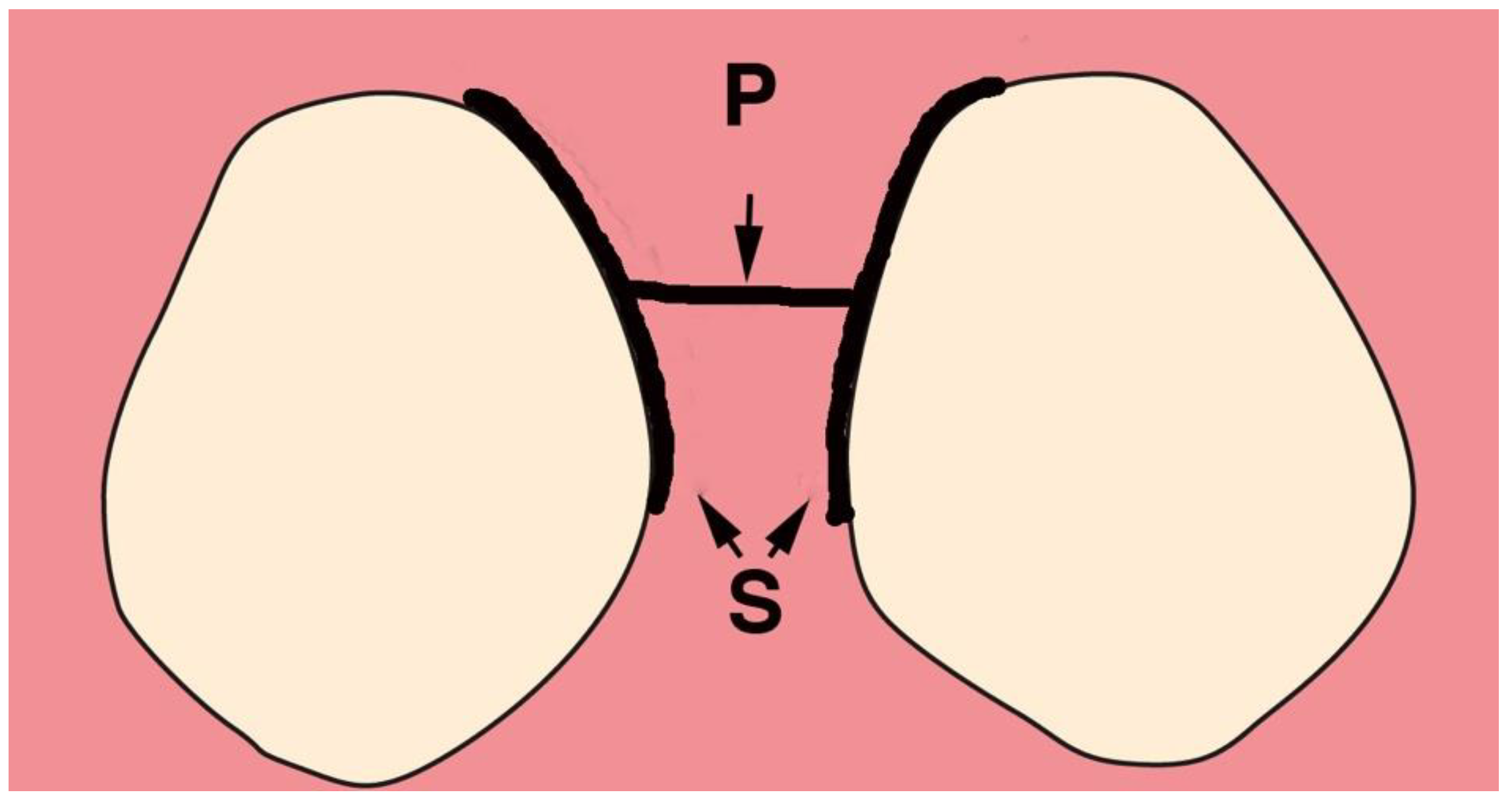 Dentistry 06 00030 g002