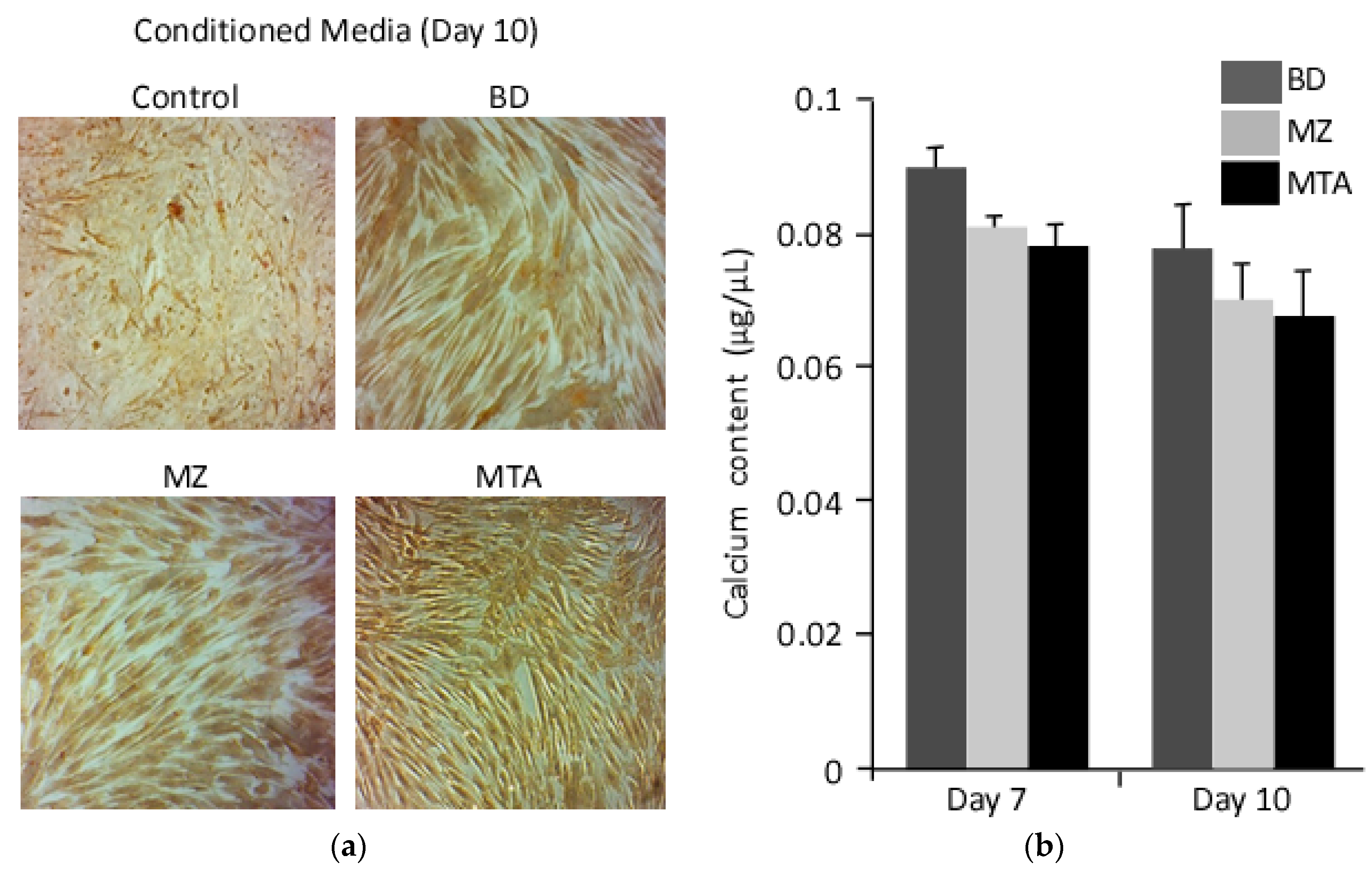 Dentistry 06 00048 g004 Dentistry 06 00048 g004