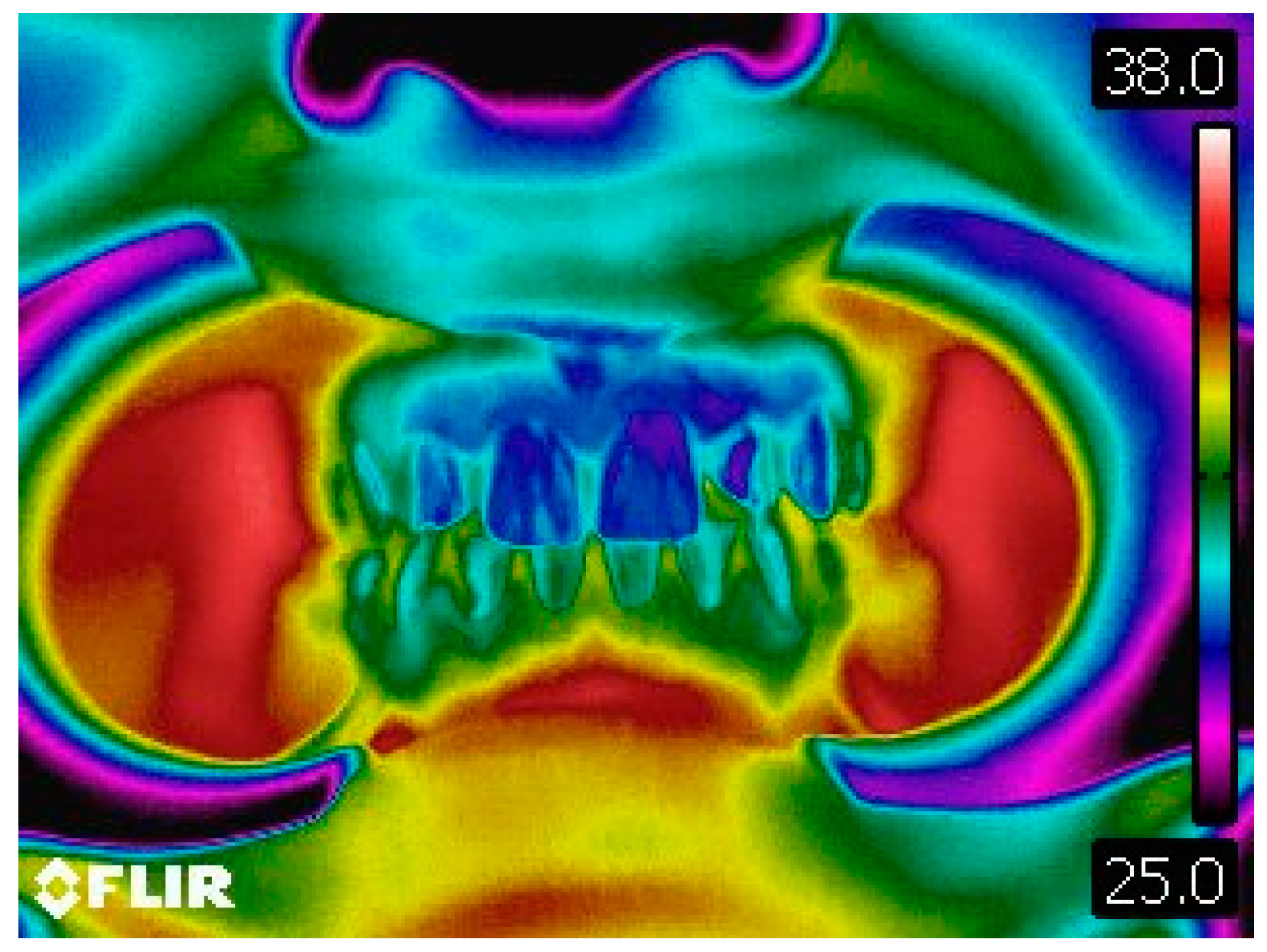 Dentistry 06 00062 g004