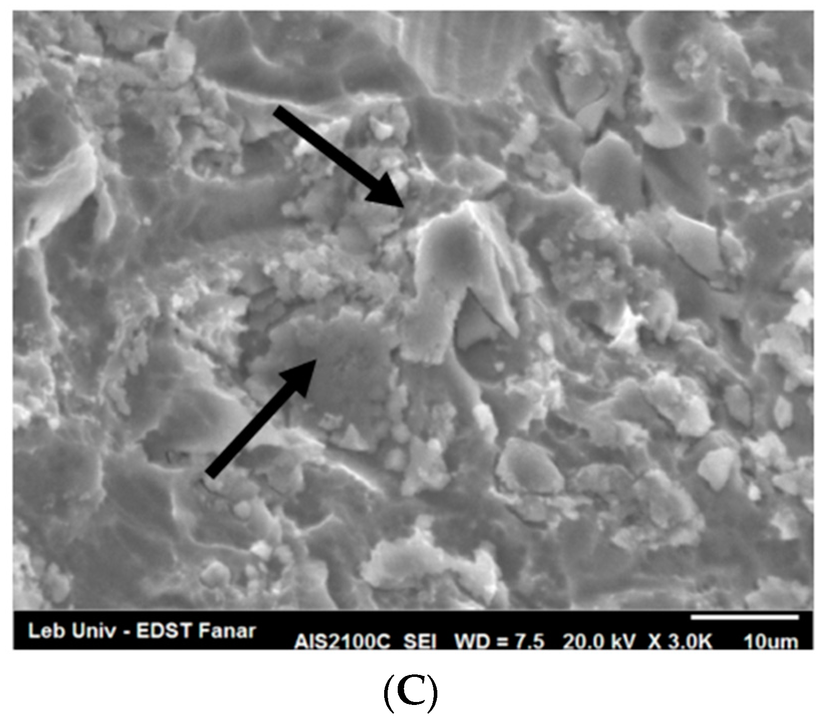 Dentistry 06 00066 g007b