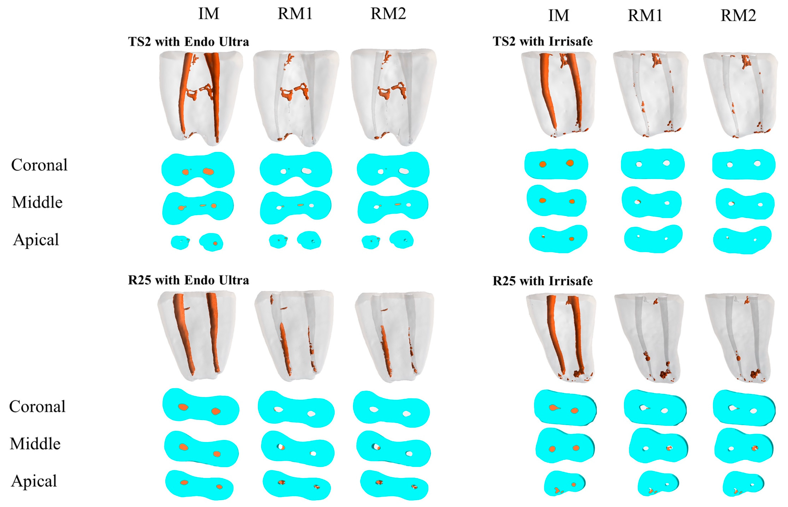 Dentistry 07 00002 g001
