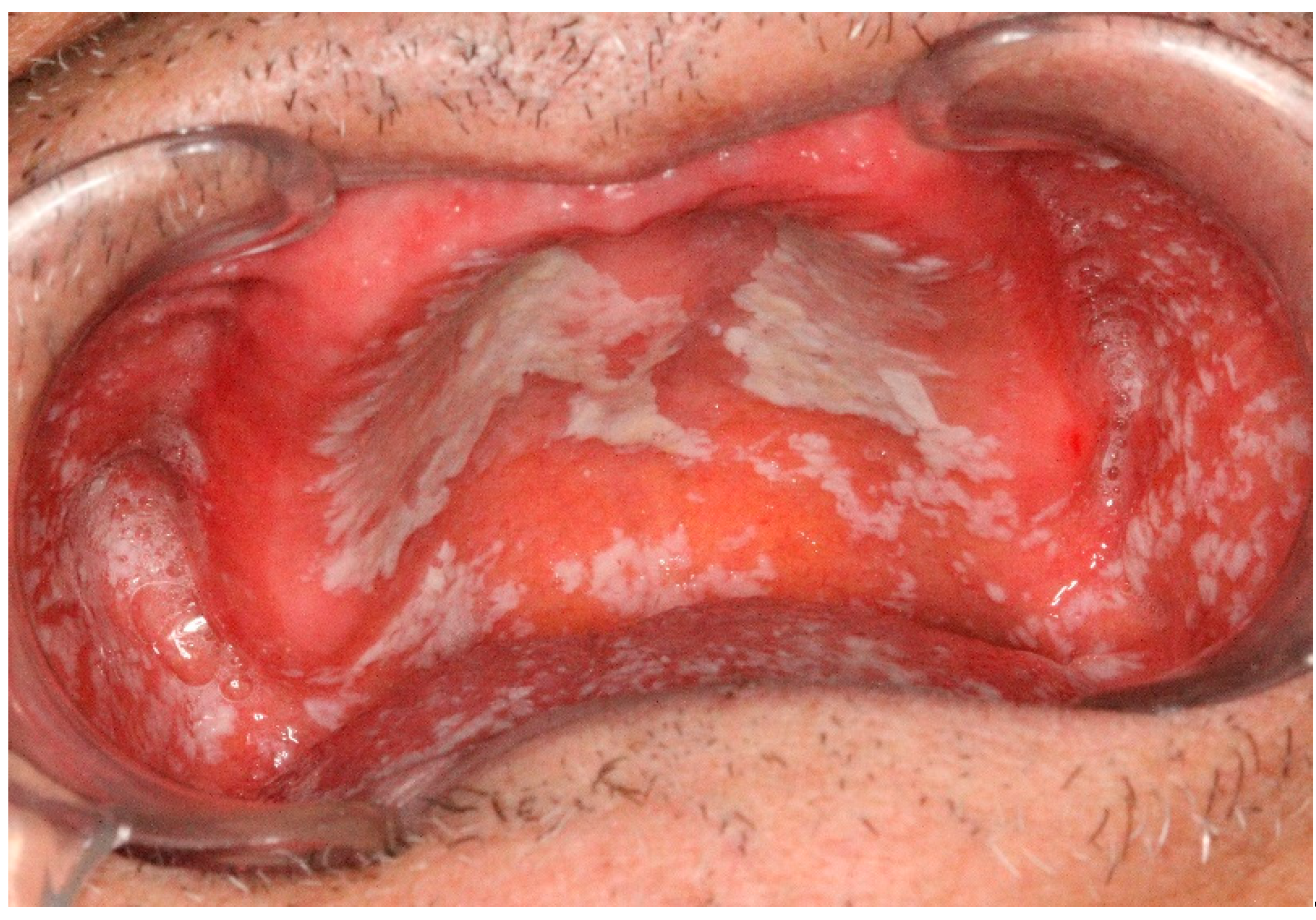 Dentistry 07 00015 g004