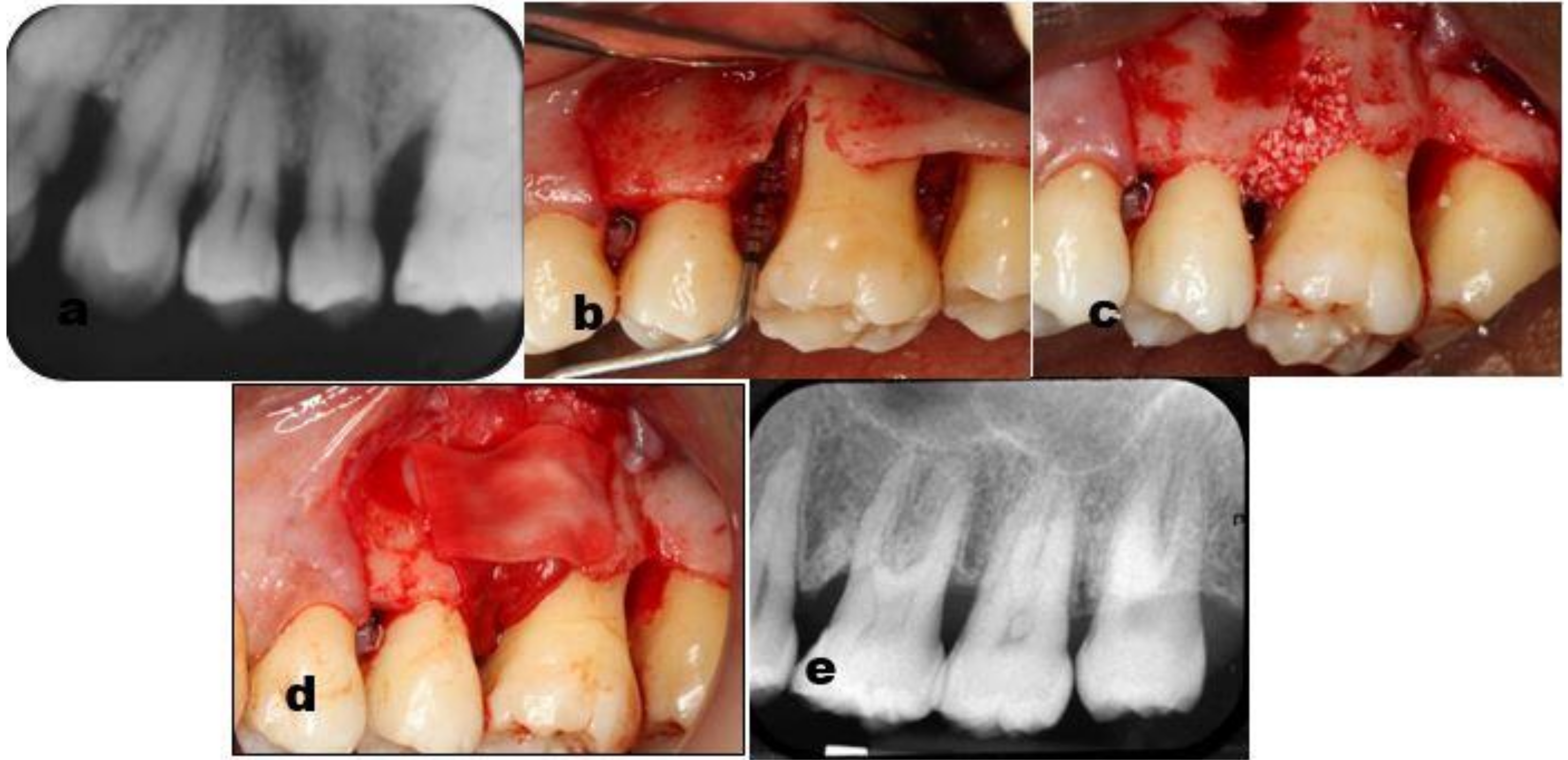 Dentistry 07 00029 g001