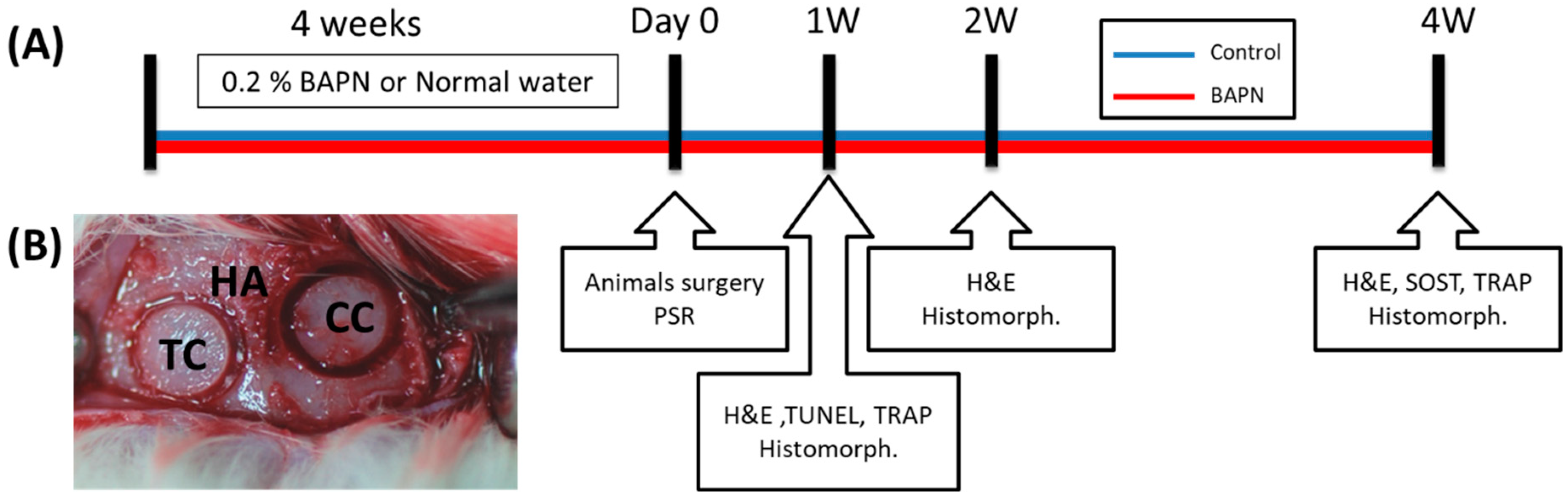 Dentistry 07 00045 g001 550