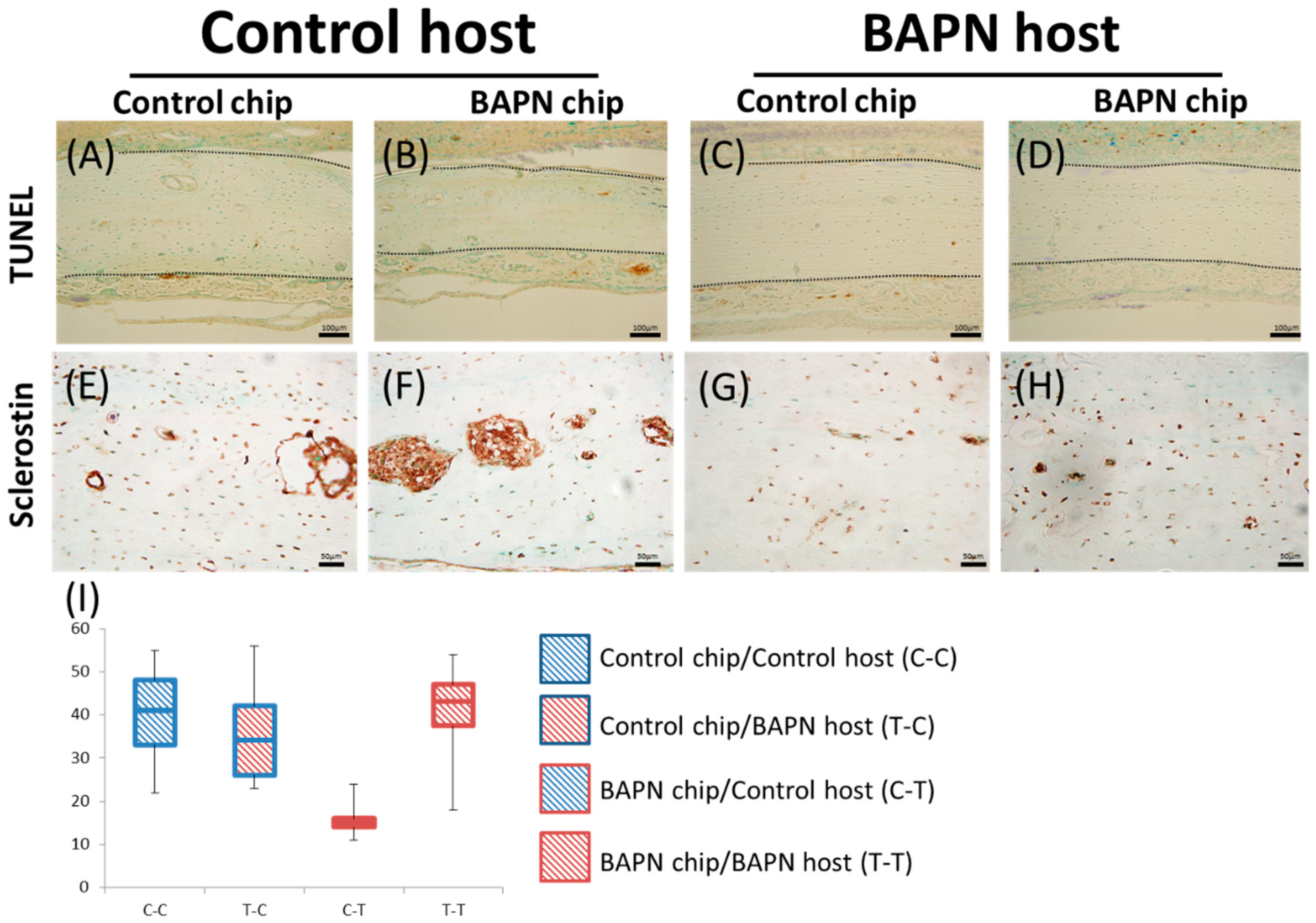 Dentistry 07 00045 g005 550