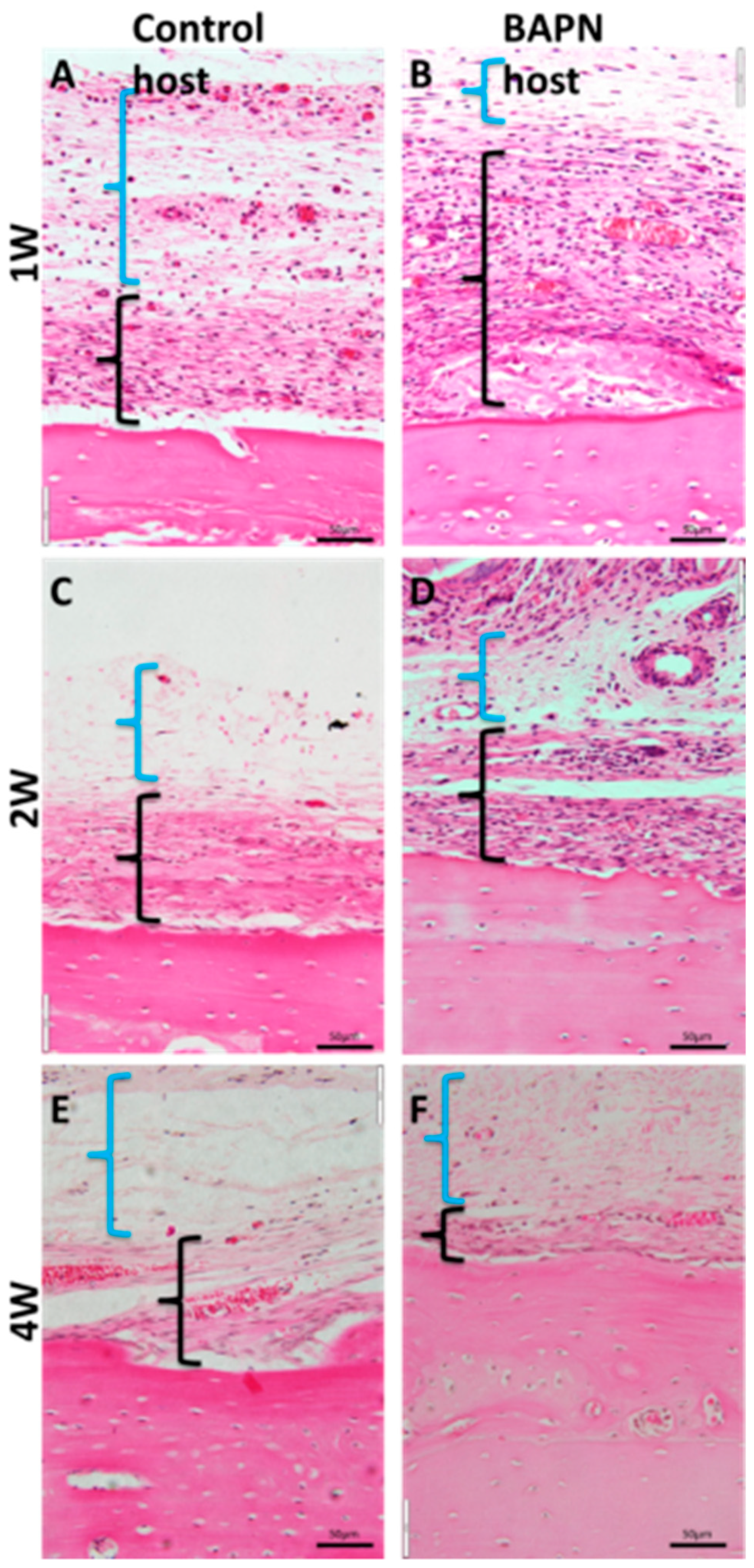 Dentistry 07 00045 g006 550