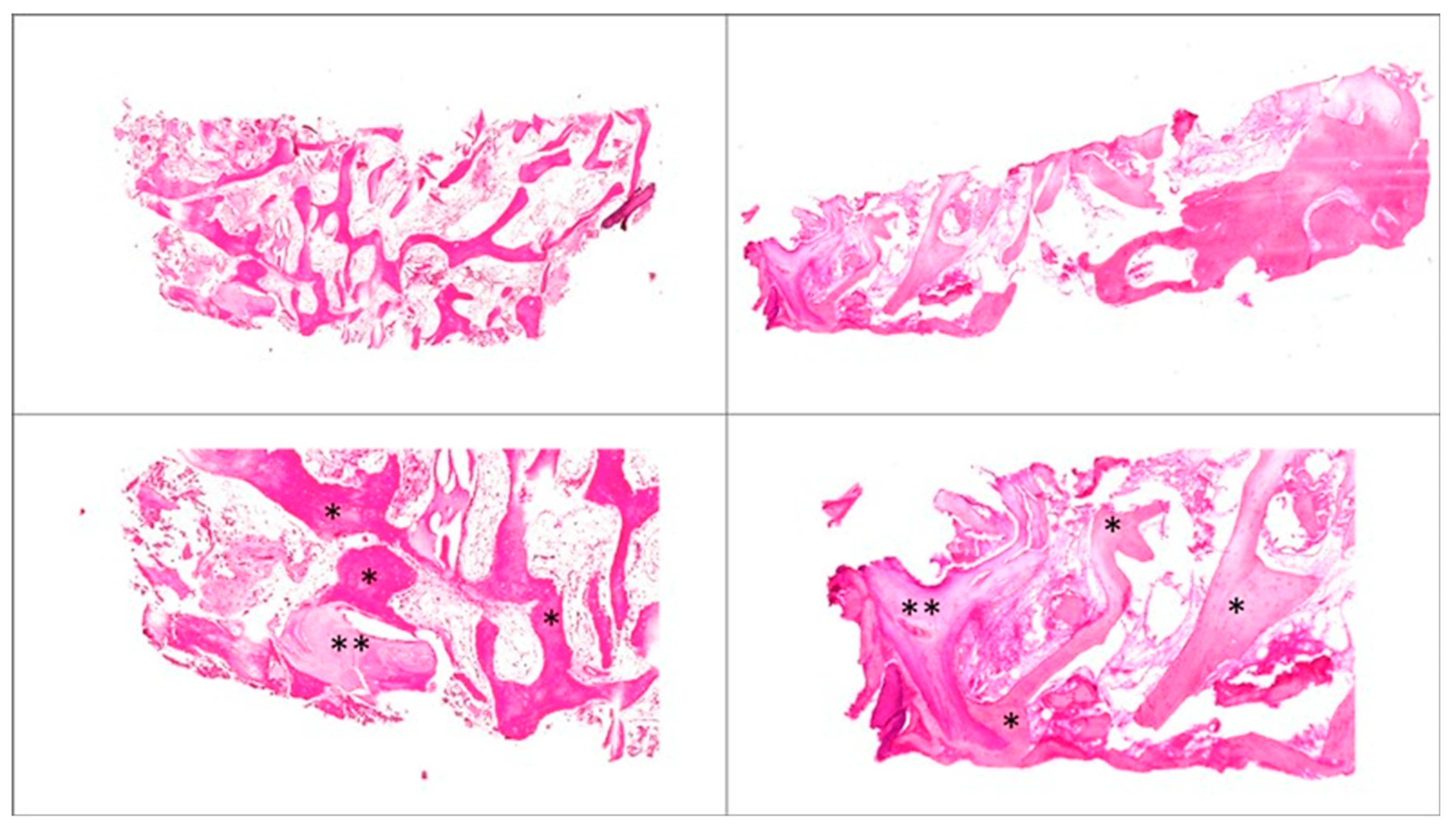 Dentistry 07 00070 g005 Dentistry 07 00070 g005