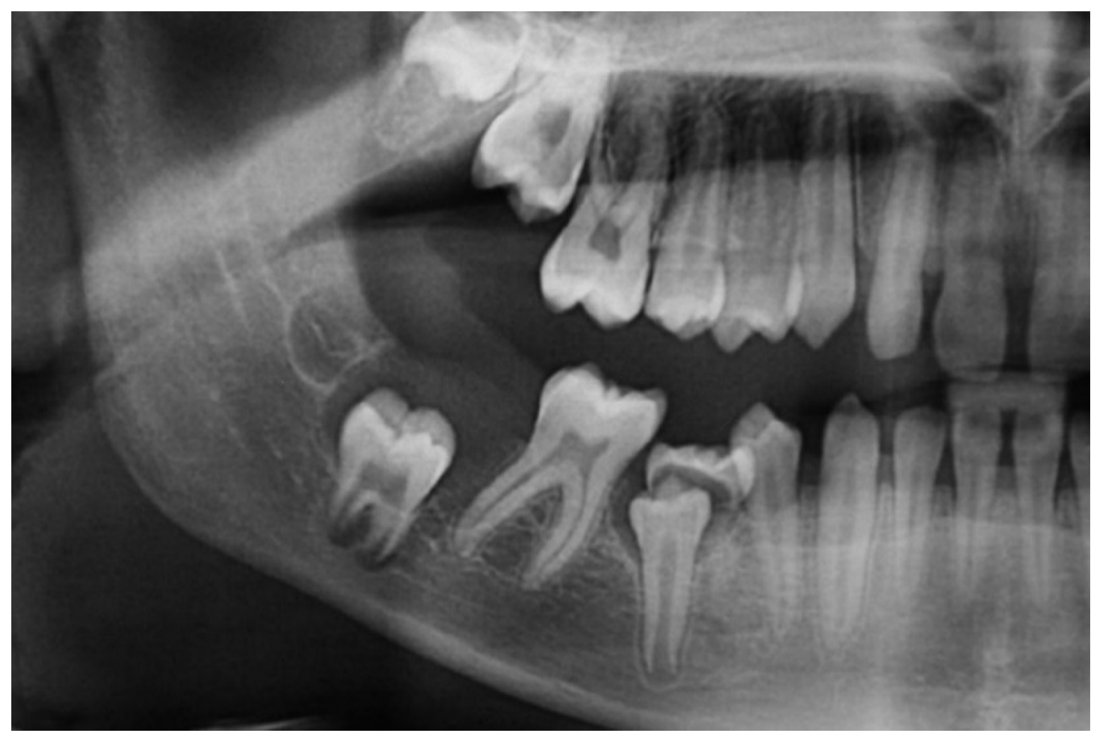 Dentistry 07 00076 g002