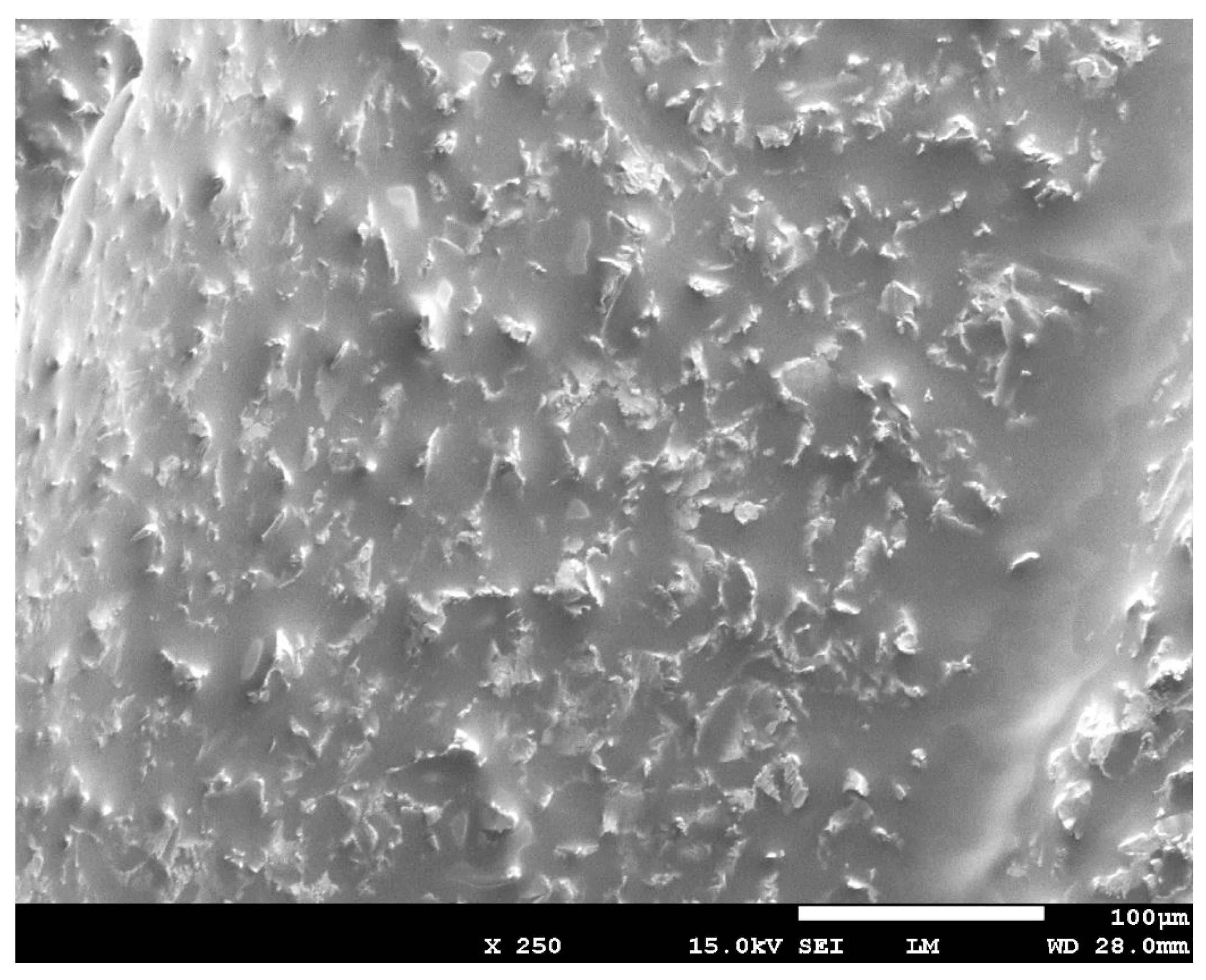 Dentistry 07 00099 g006 Dentistry 07 00099 g006