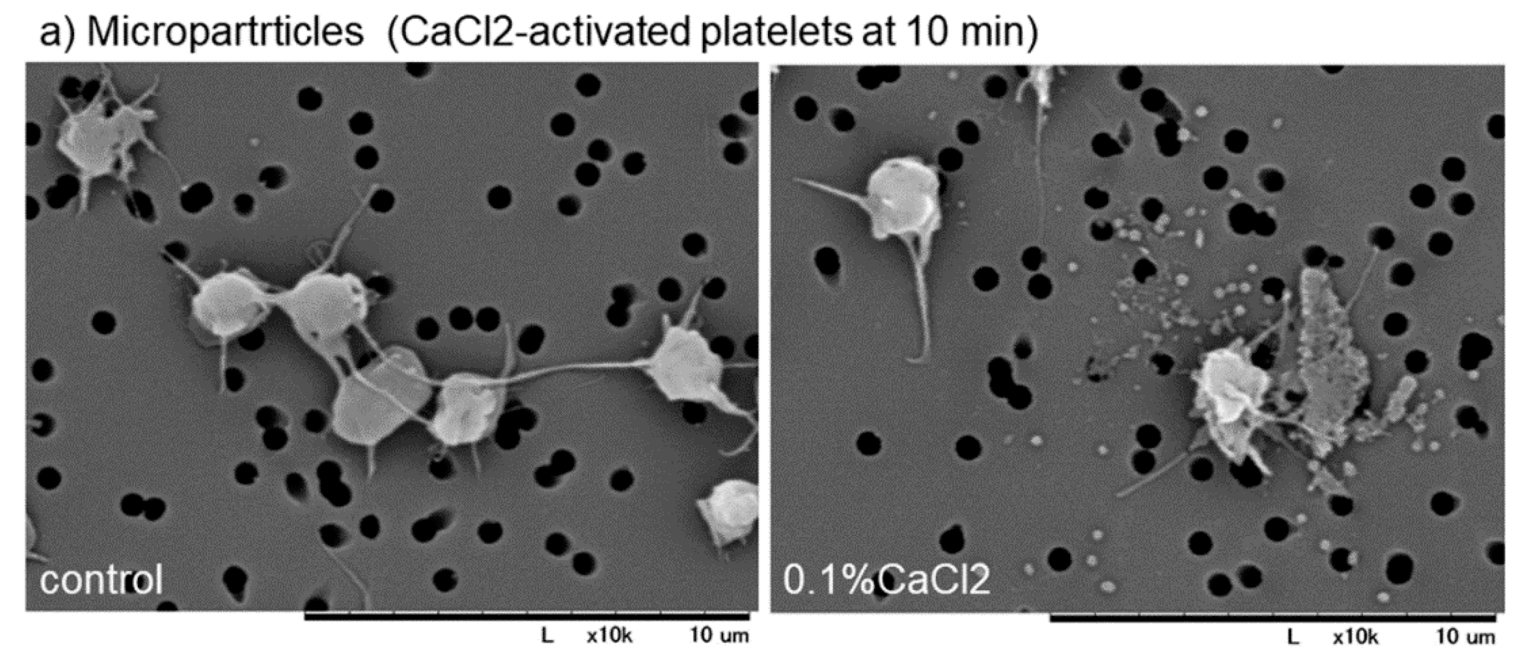 Dentistry 07 00109 g004a Dentistry 07 00109 g004a