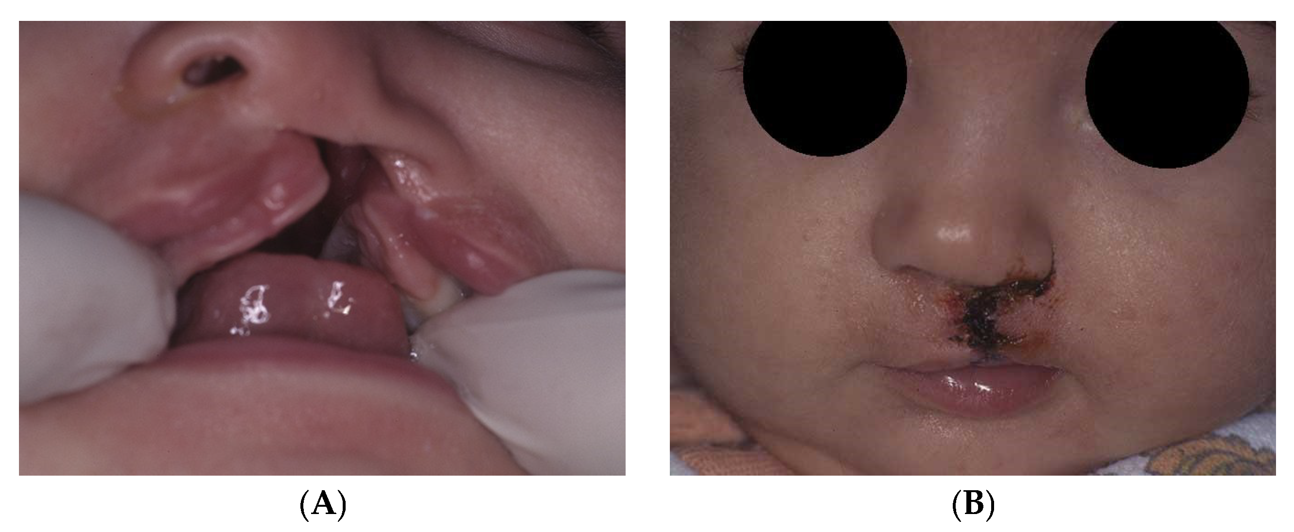 Dentistry 07 00111 g004