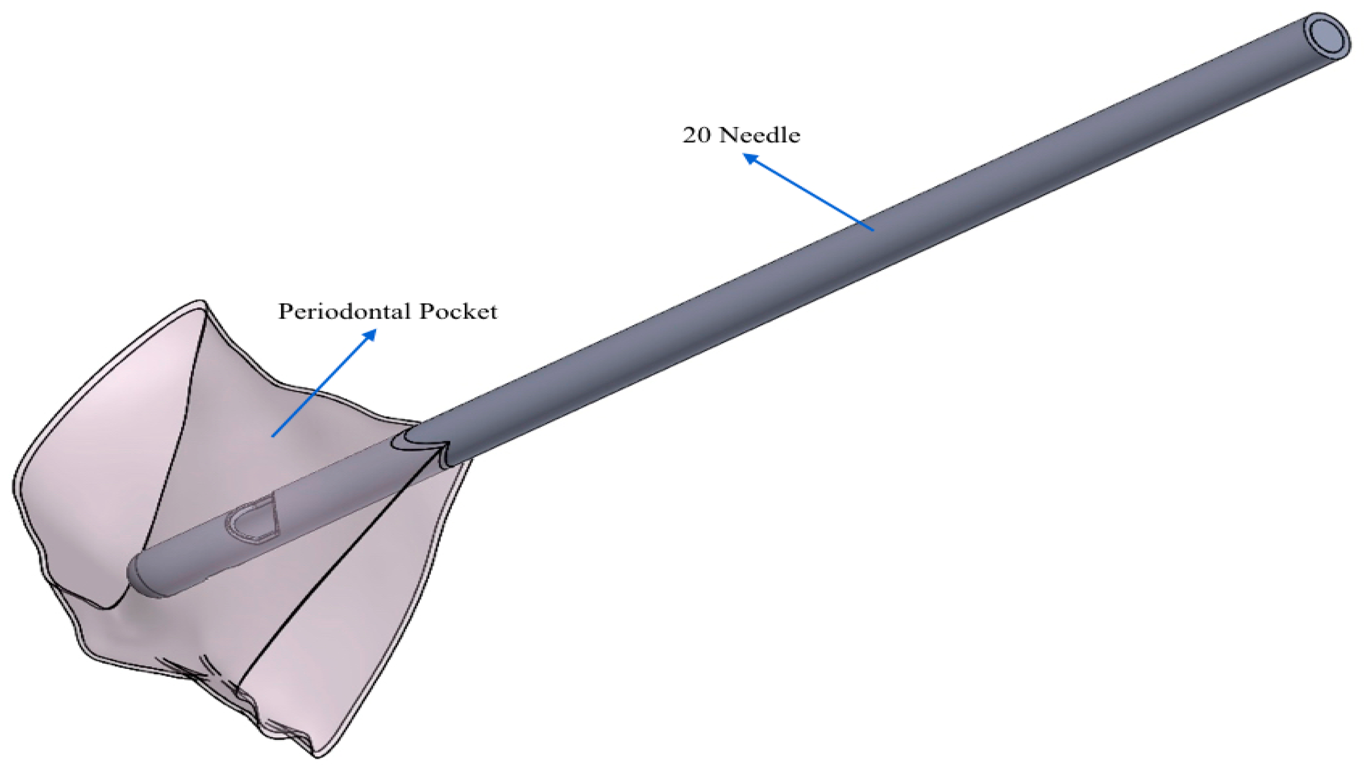 Dentistry 08 00001 g002