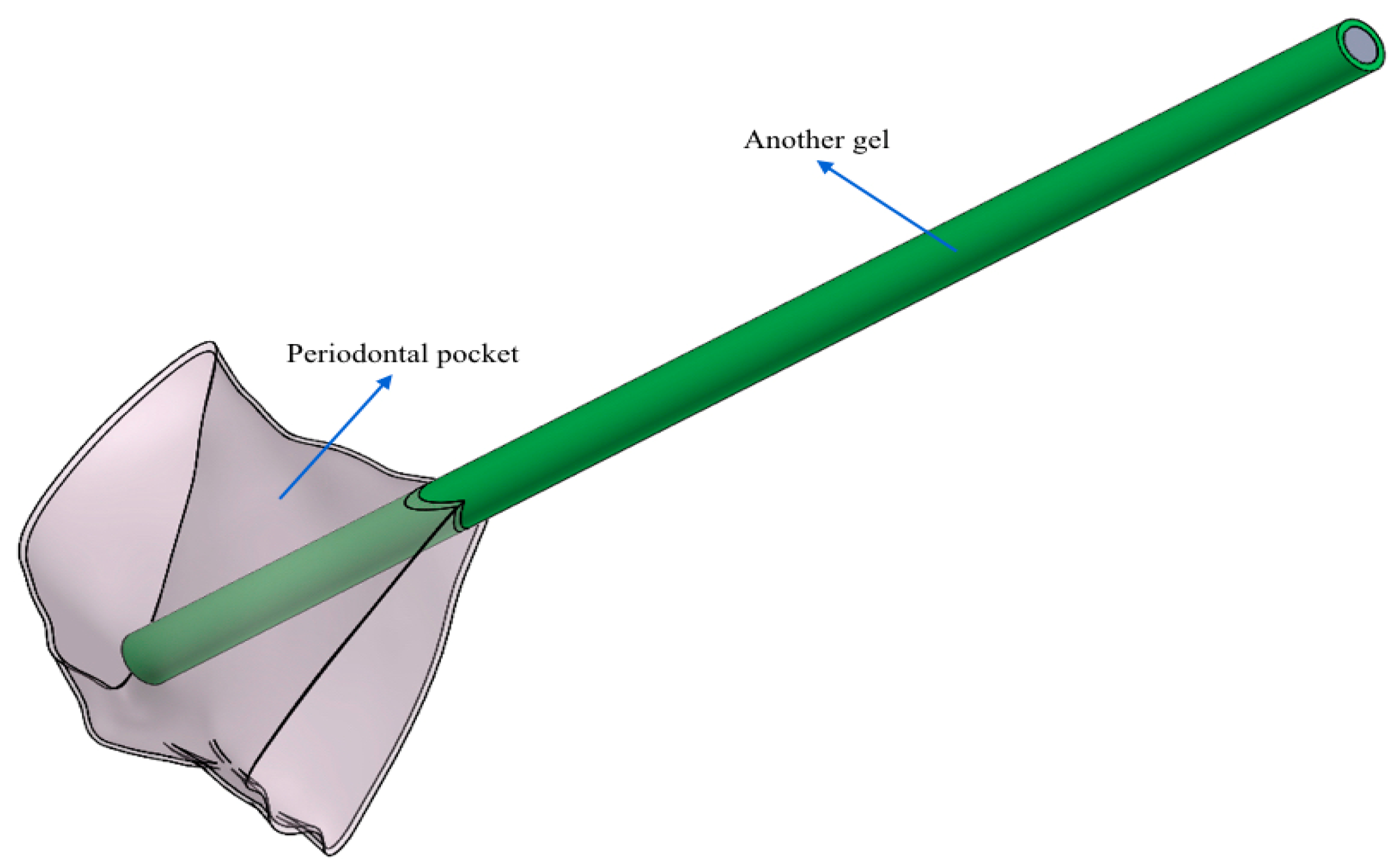 Dentistry 08 00001 g003