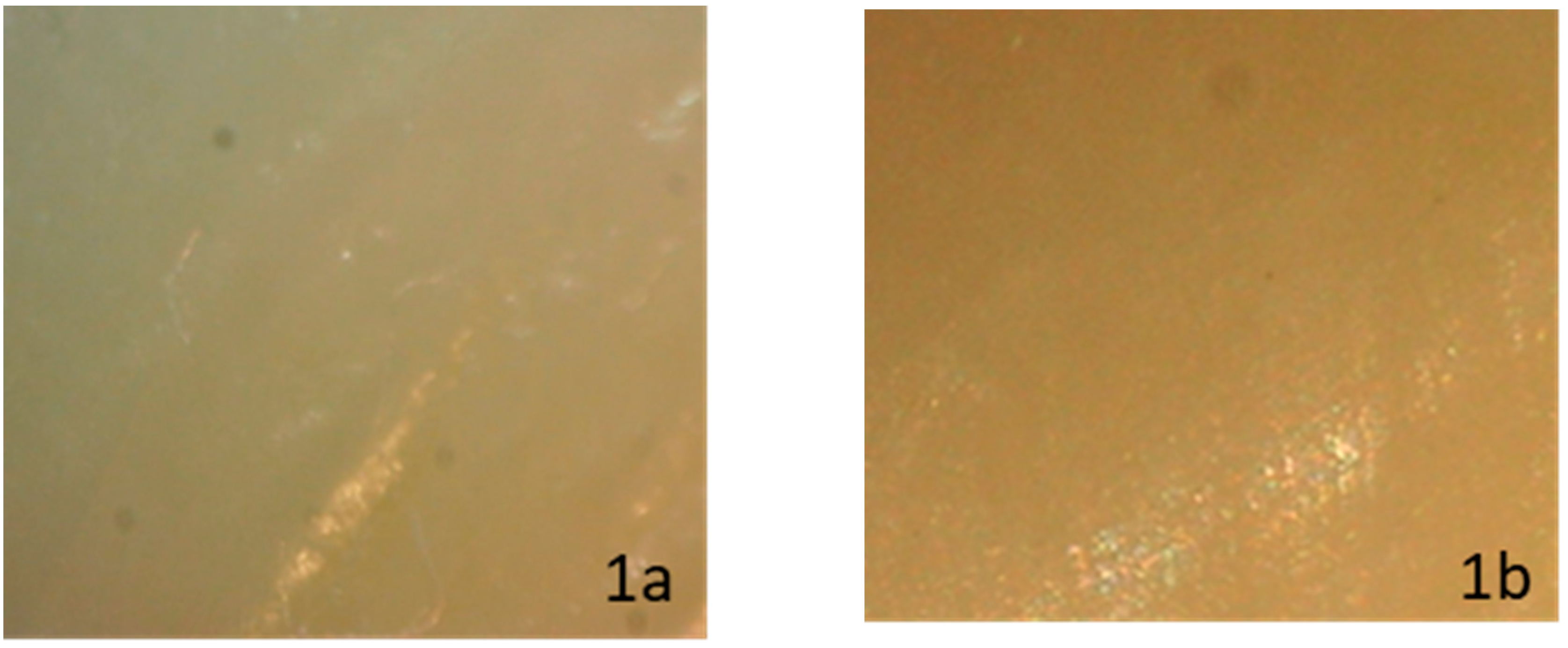 Dentistry 08 00006 g001 Dentistry 08 00006 g001