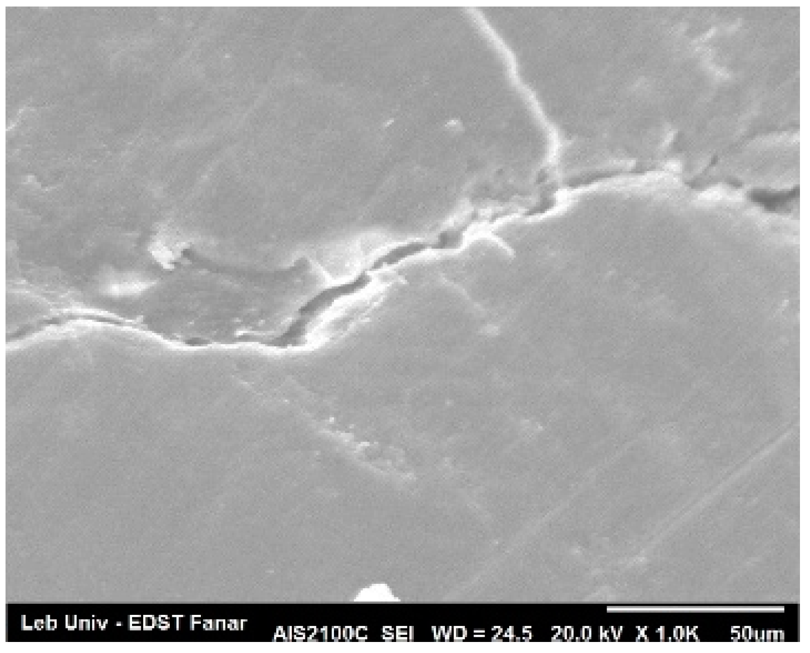 Dentistry 08 00006 g007 Dentistry 08 00006 g007