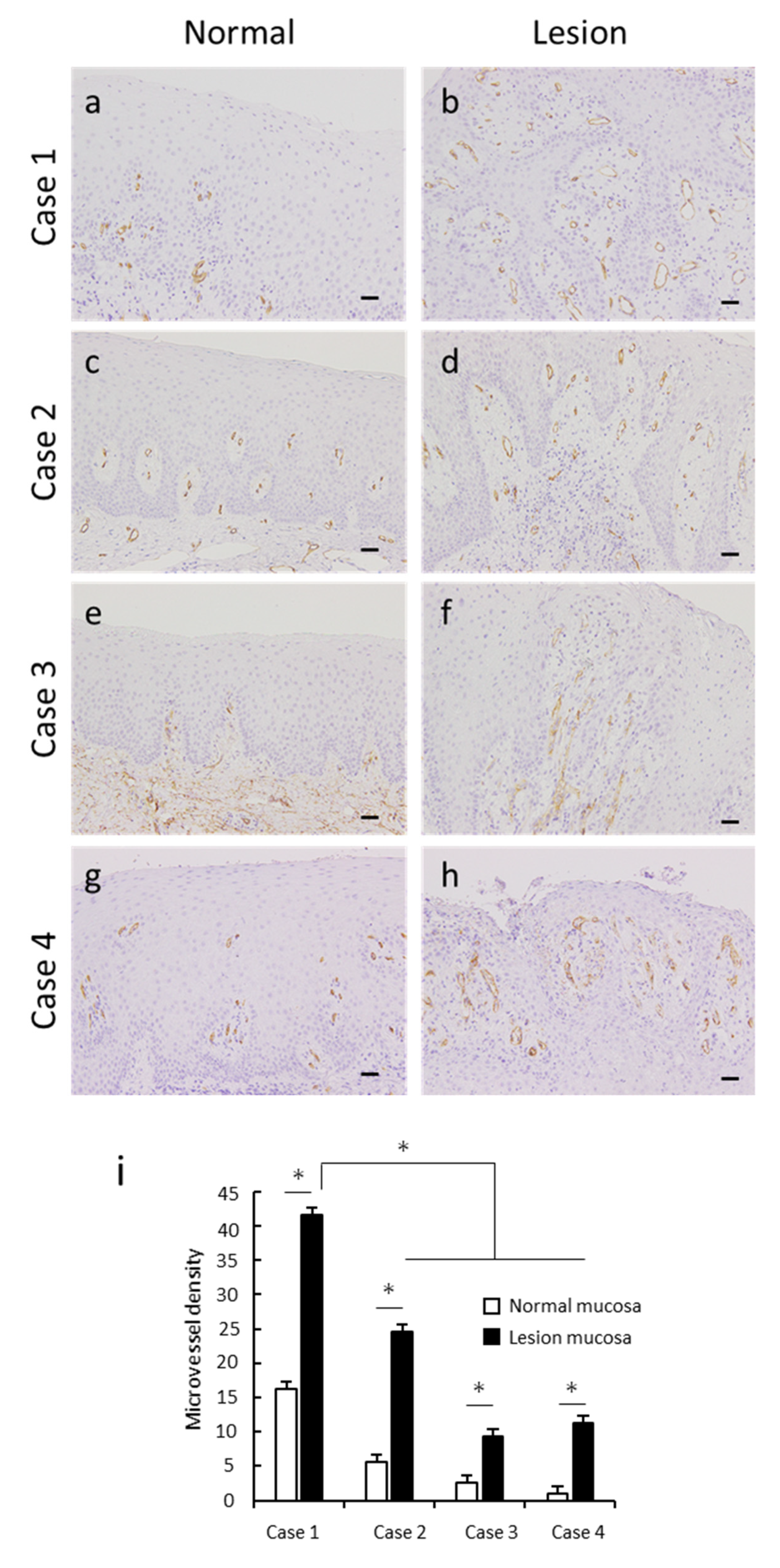 Dentistry 08 00018 g003 Dentistry 08 00018 g003