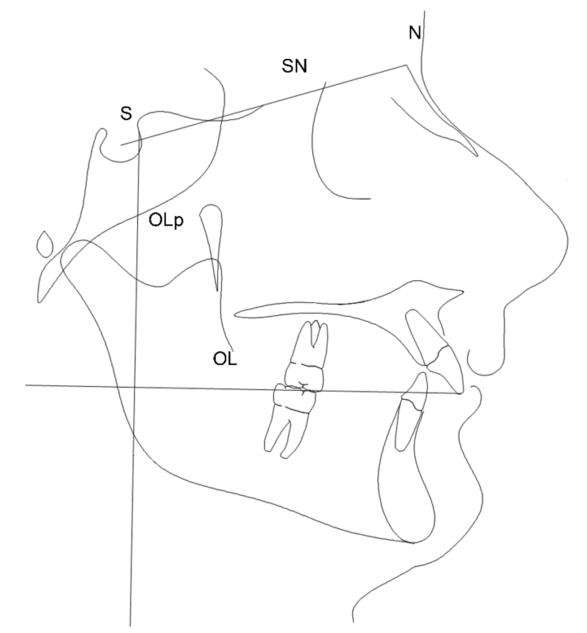 Dentistry 08 00027 g001