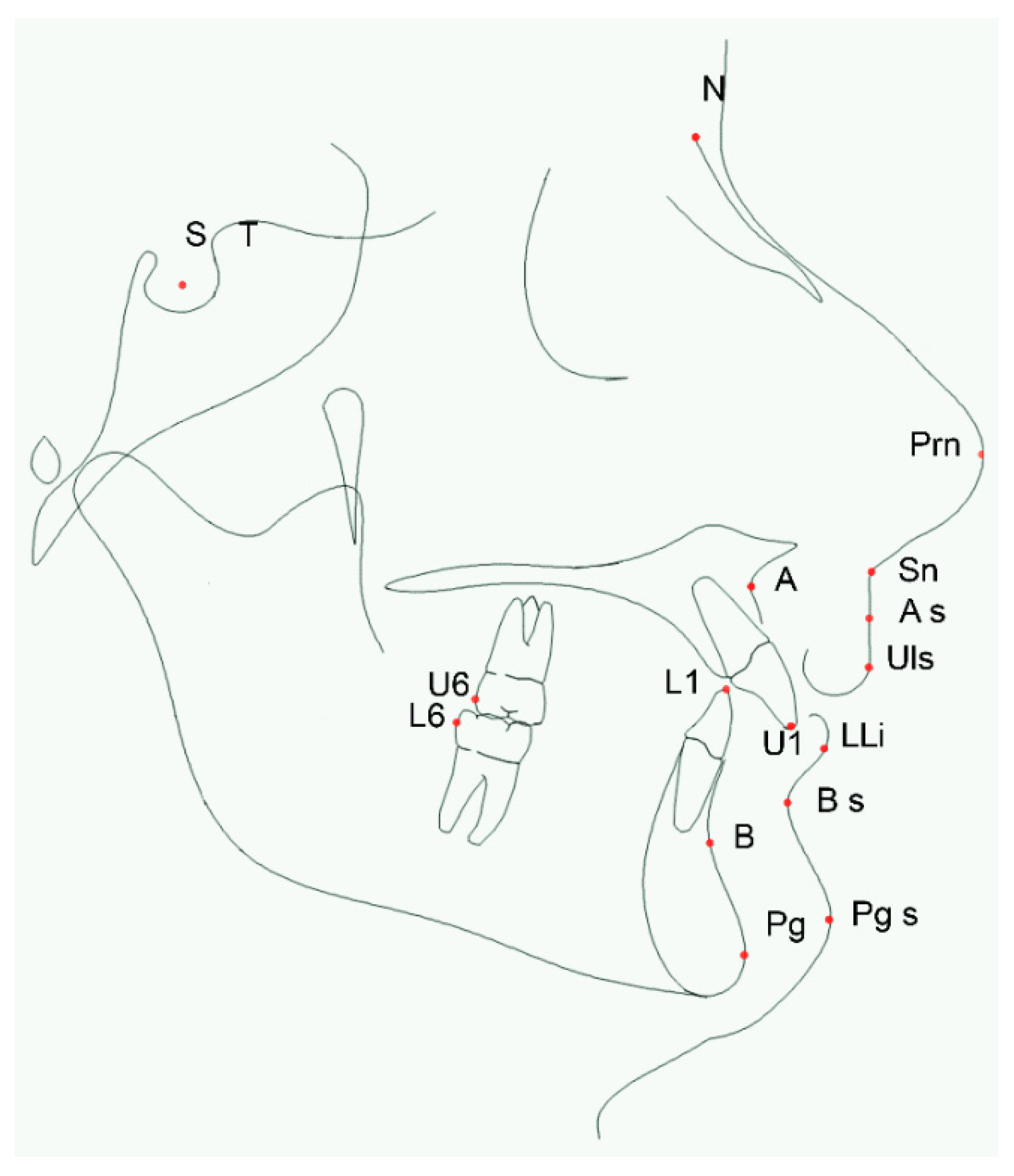 Dentistry 08 00027 g002