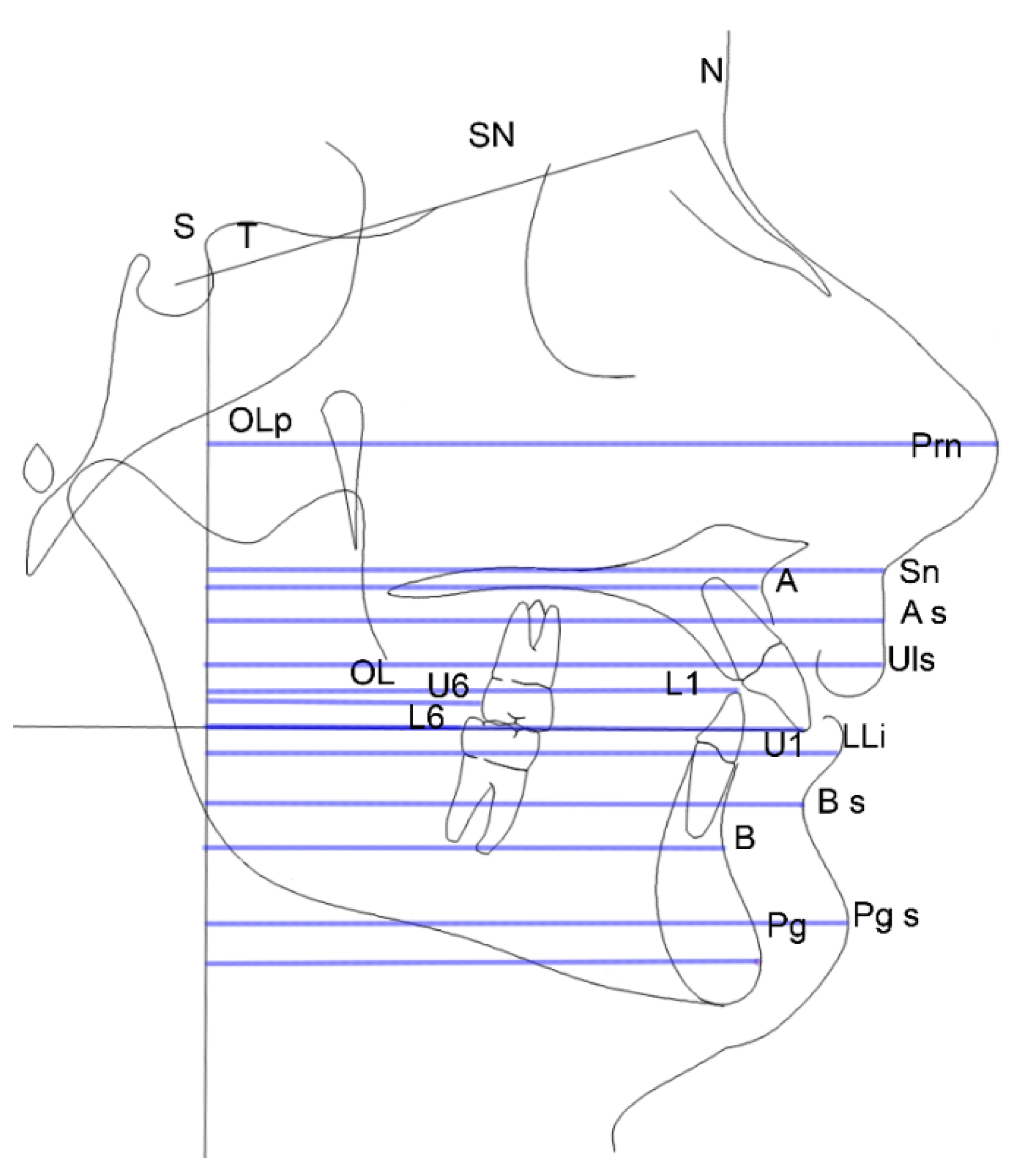 Dentistry 08 00027 g003