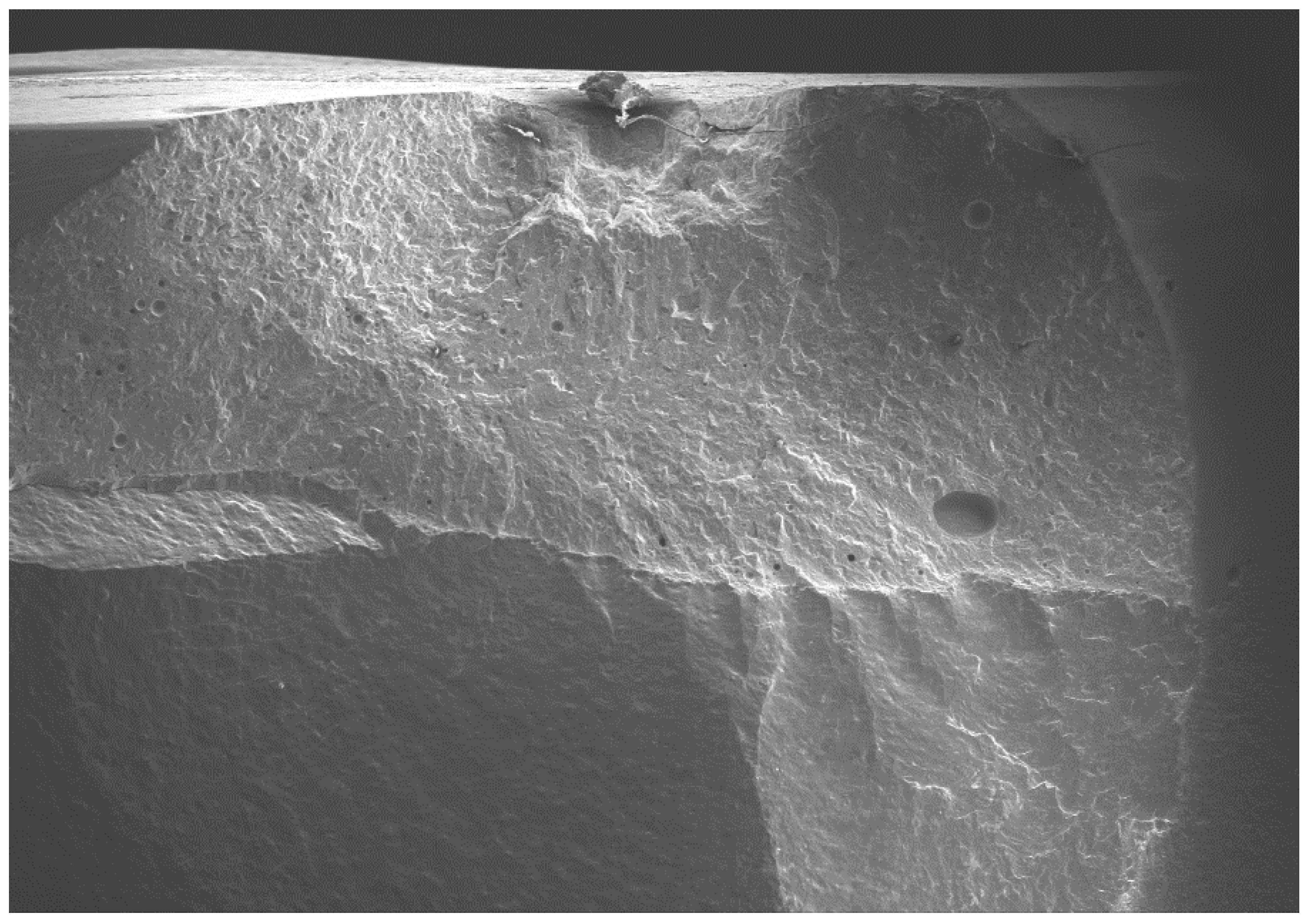 Dentistry 08 00037 g005