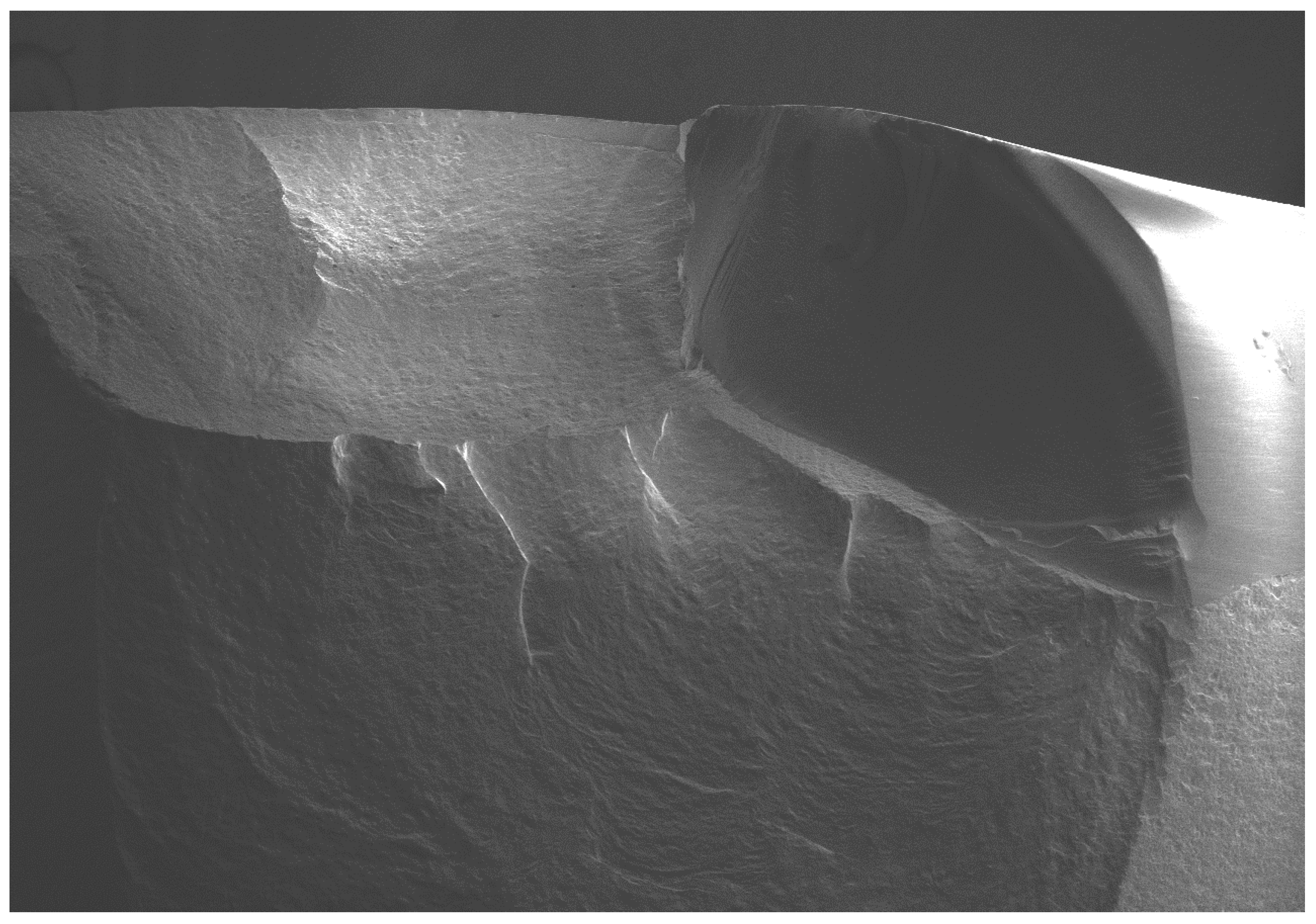 Dentistry 08 00037 g006