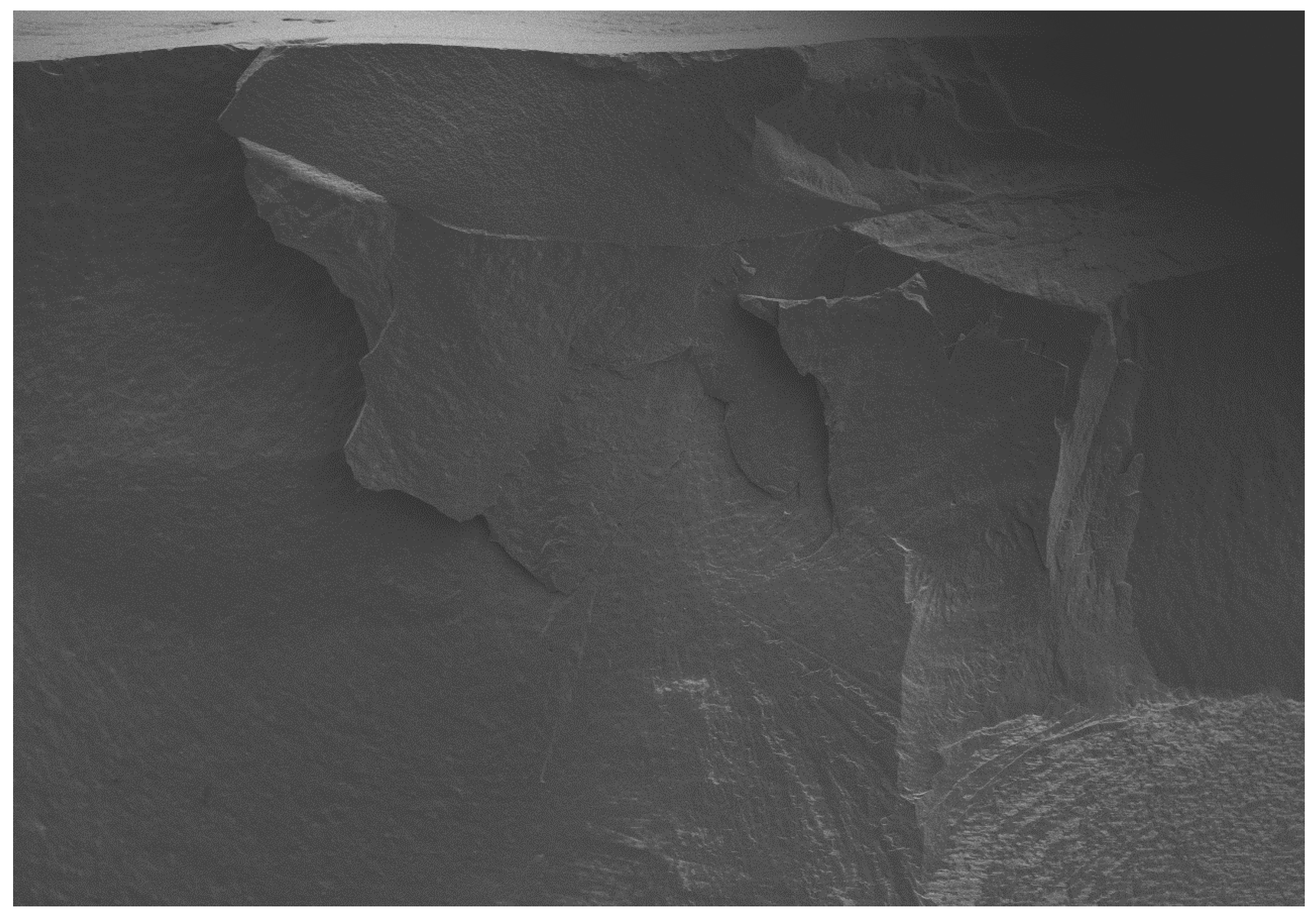 Dentistry 08 00037 g008