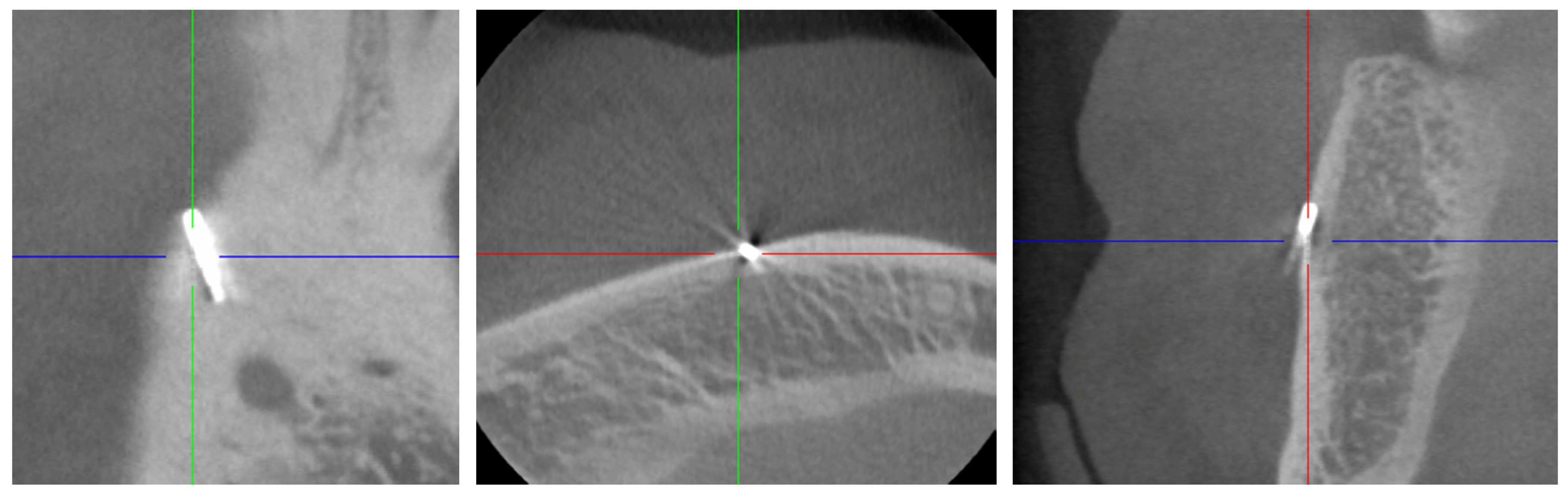 Dentistry 08 00055 g002