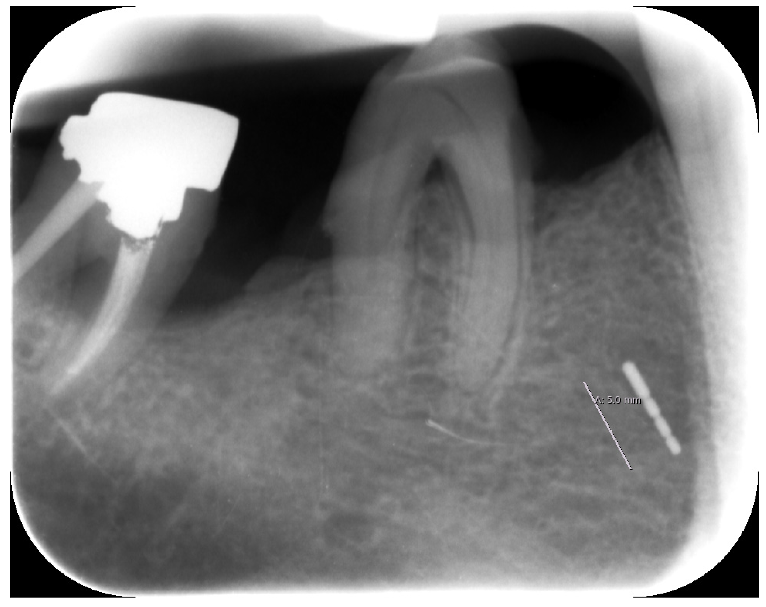 Dentistry 08 00055 g003