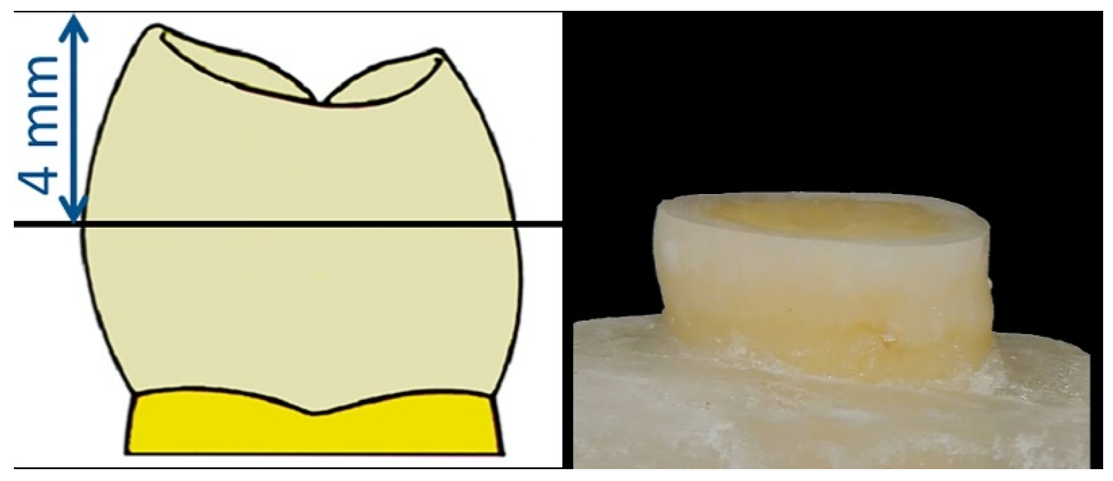 Dentistry 08 00066 g001