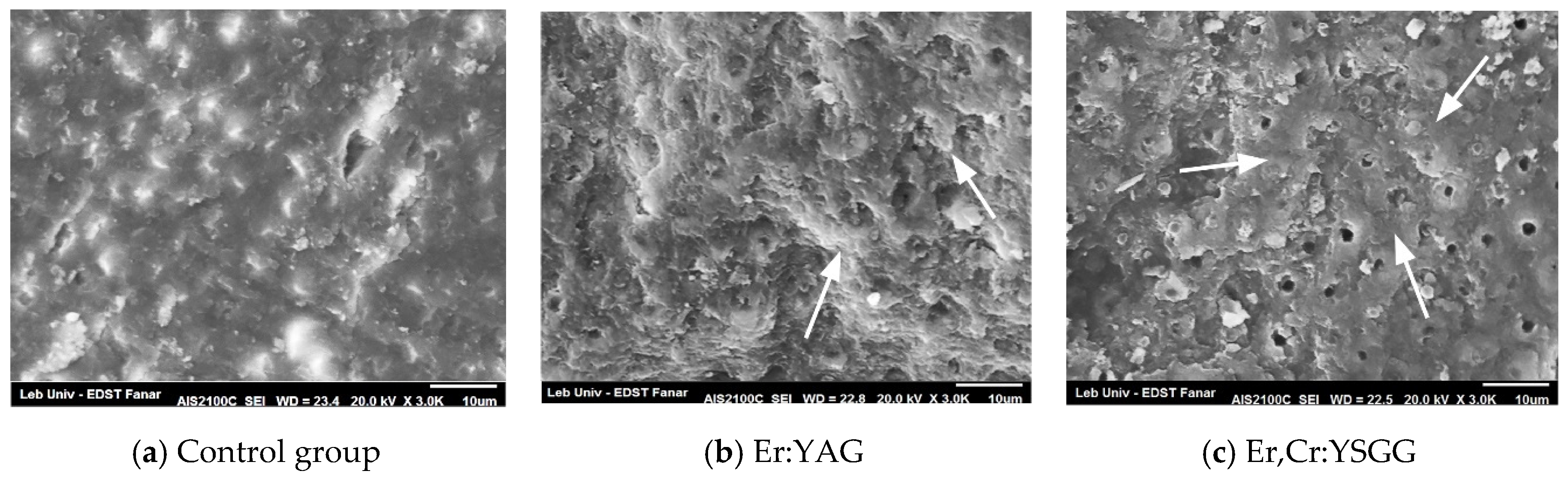 Dentistry 08 00066 g002