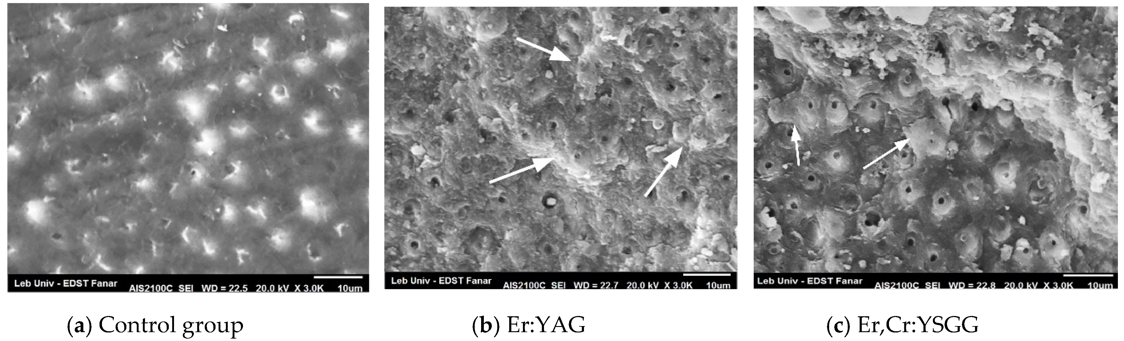 Dentistry 08 00066 g003