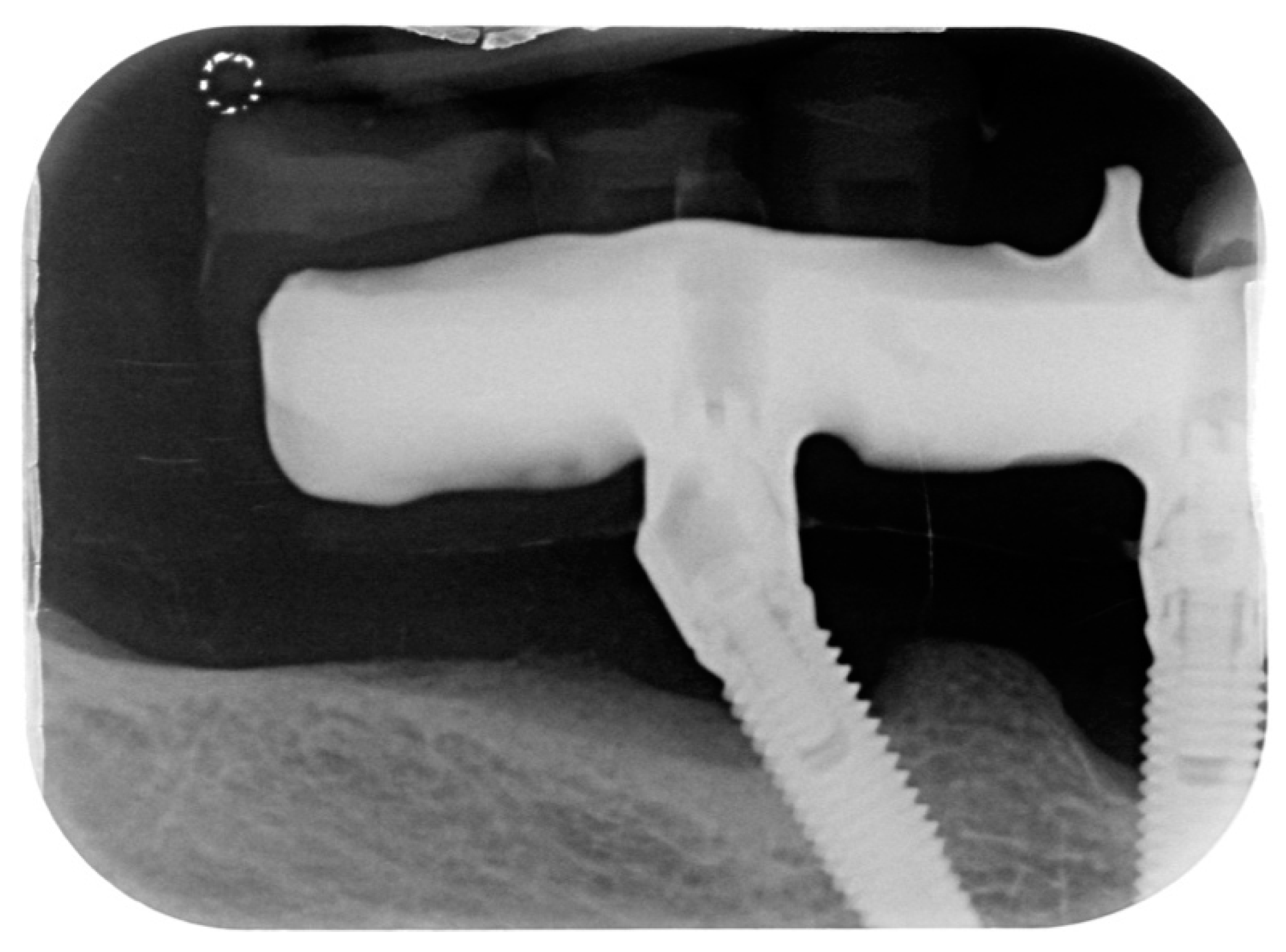 Dentistry 08 00070 g002